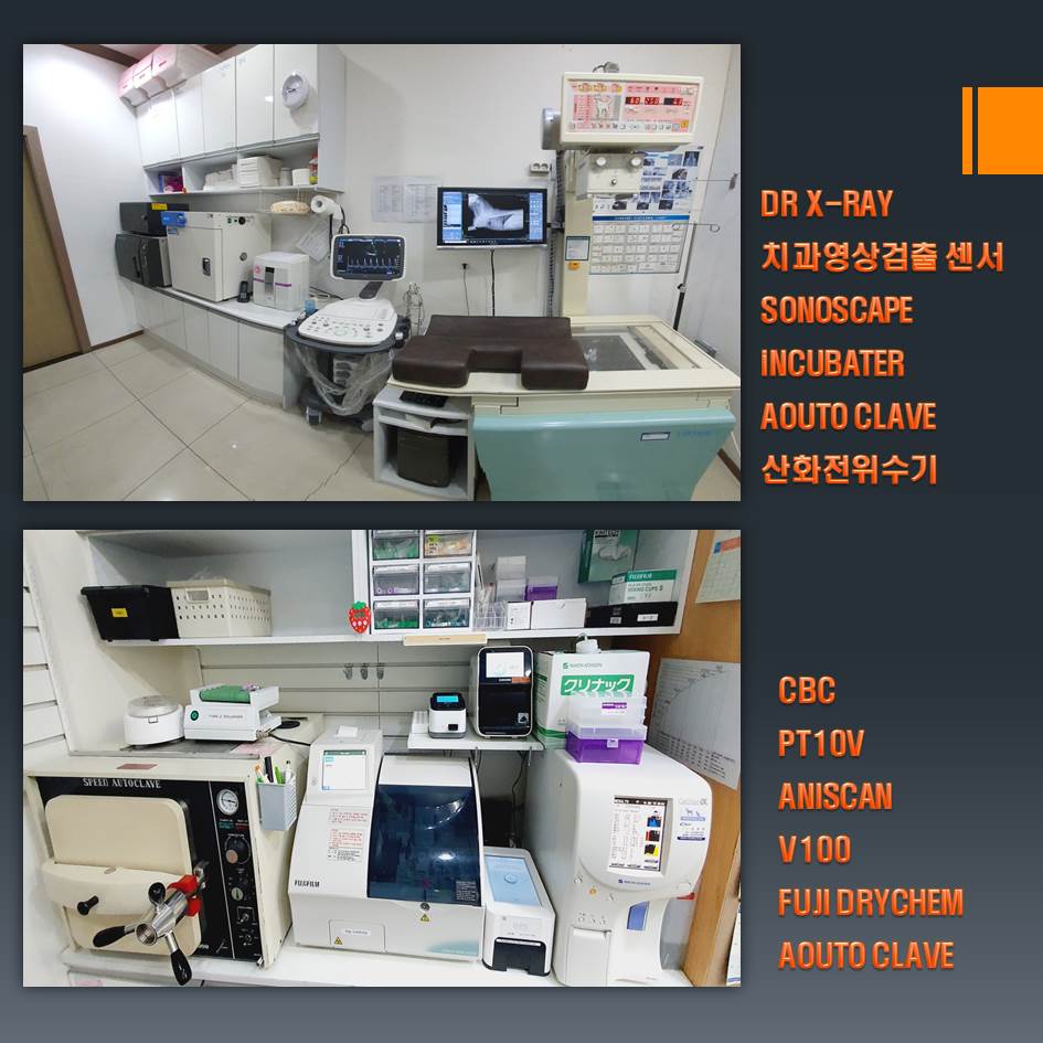 24시팔용feel동물병원 대표 이미지