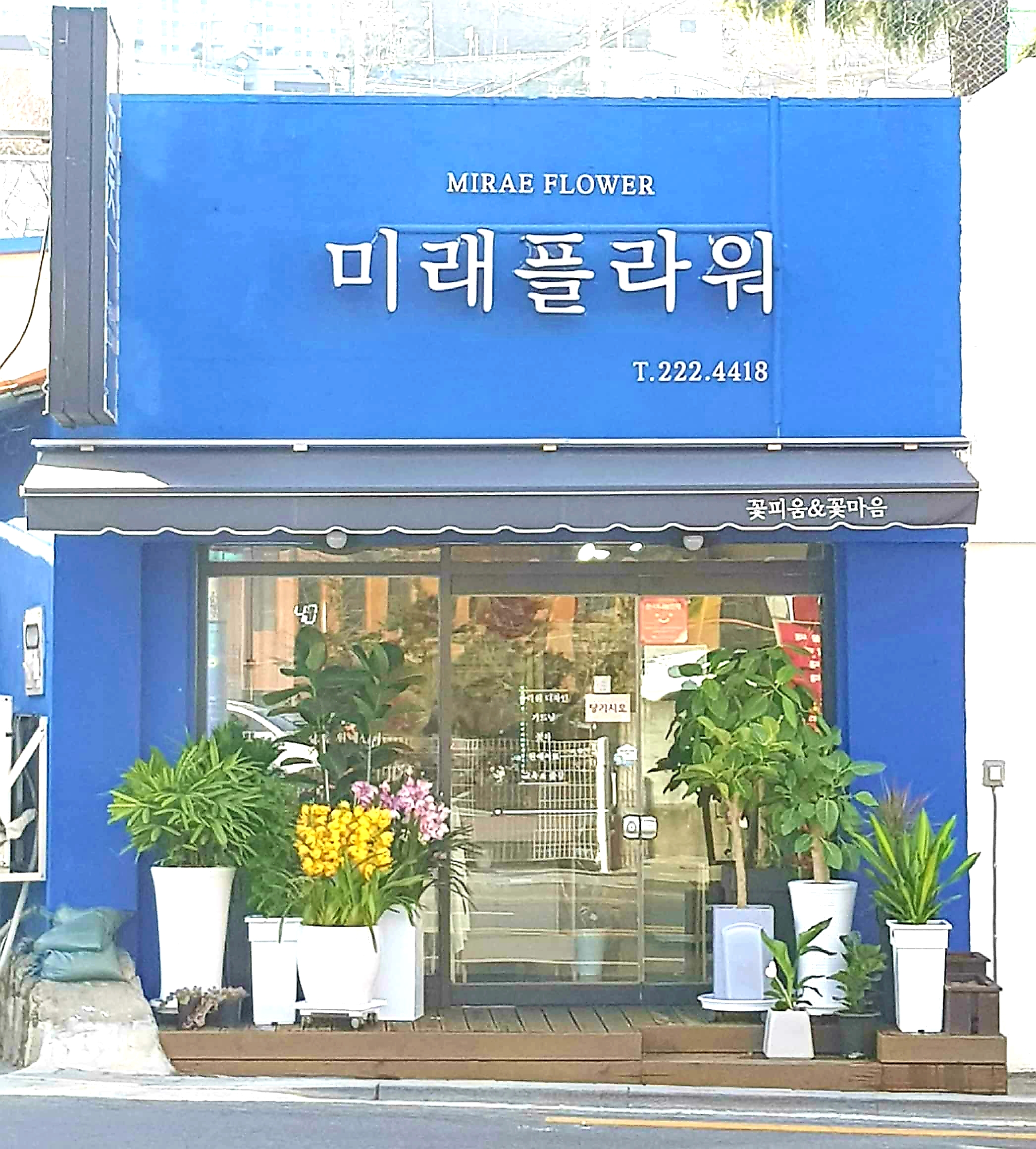 미래플라워