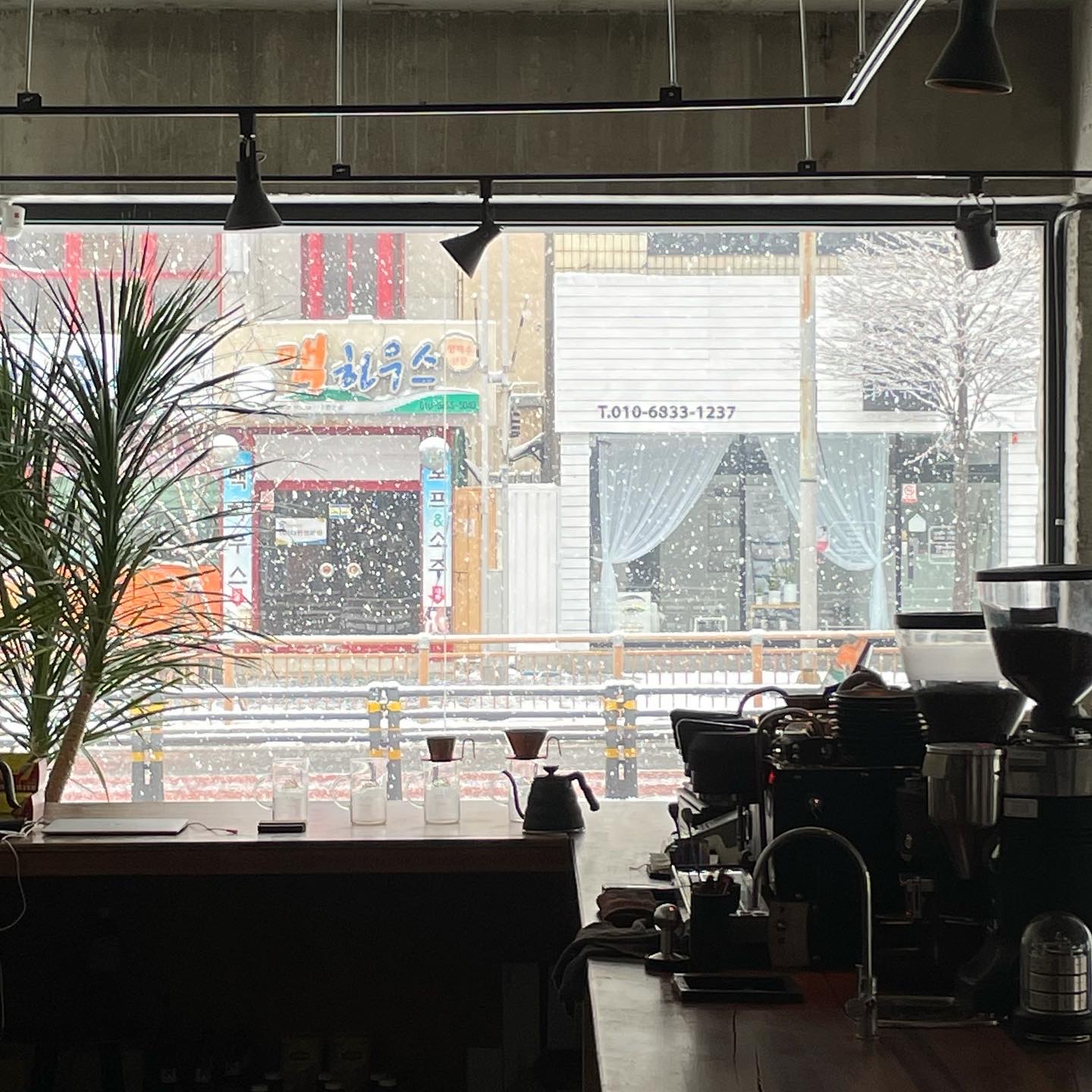 Tone Black Roasters