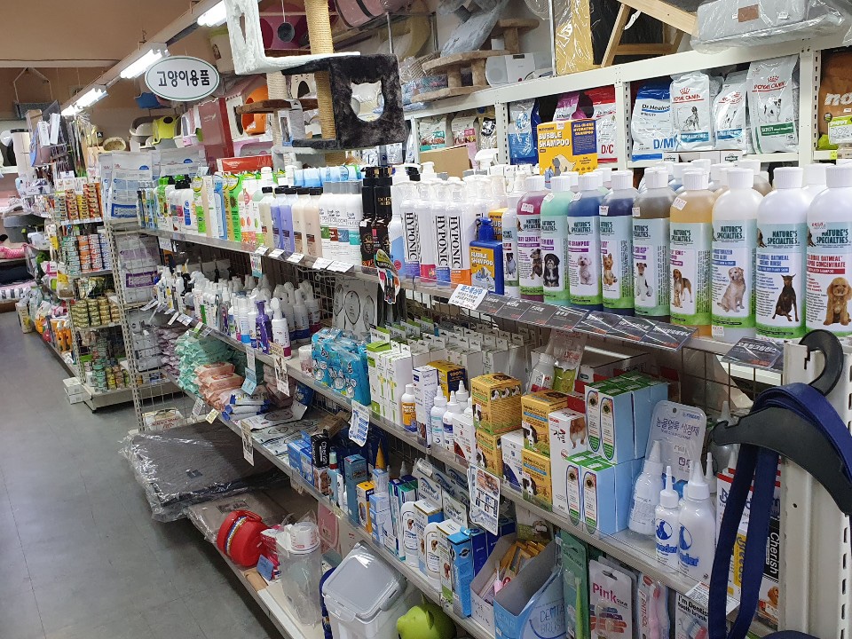 마니사개 대표 이미지