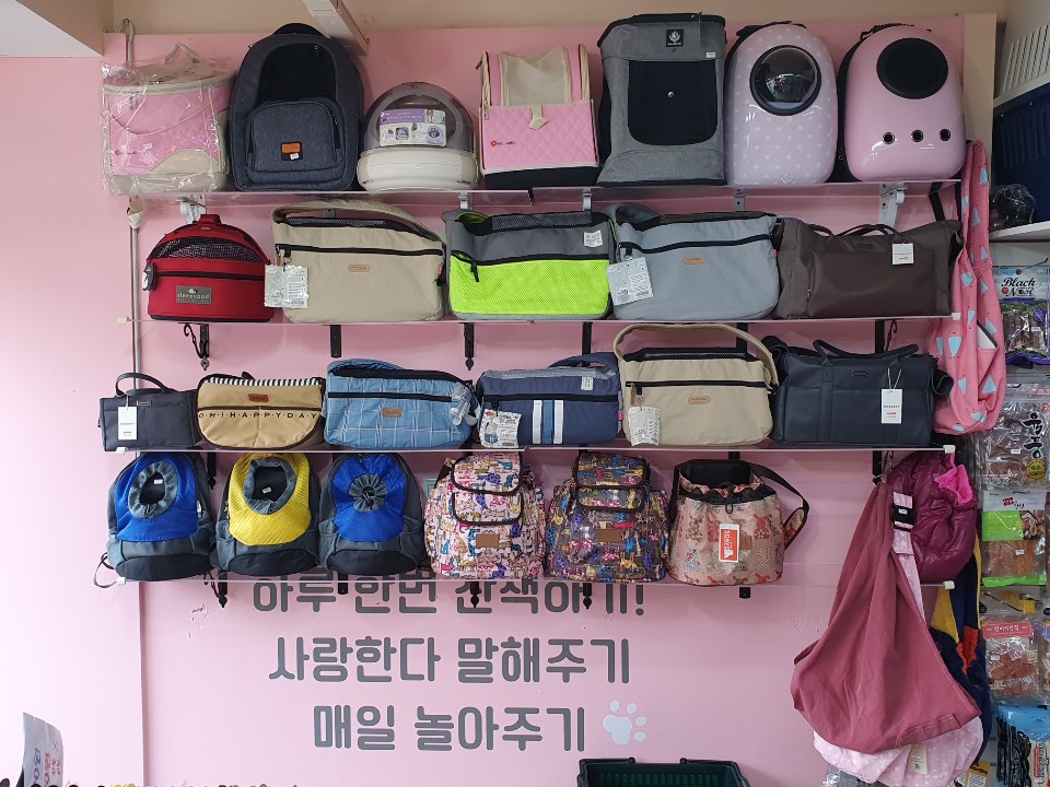 마니사개 대표 이미지