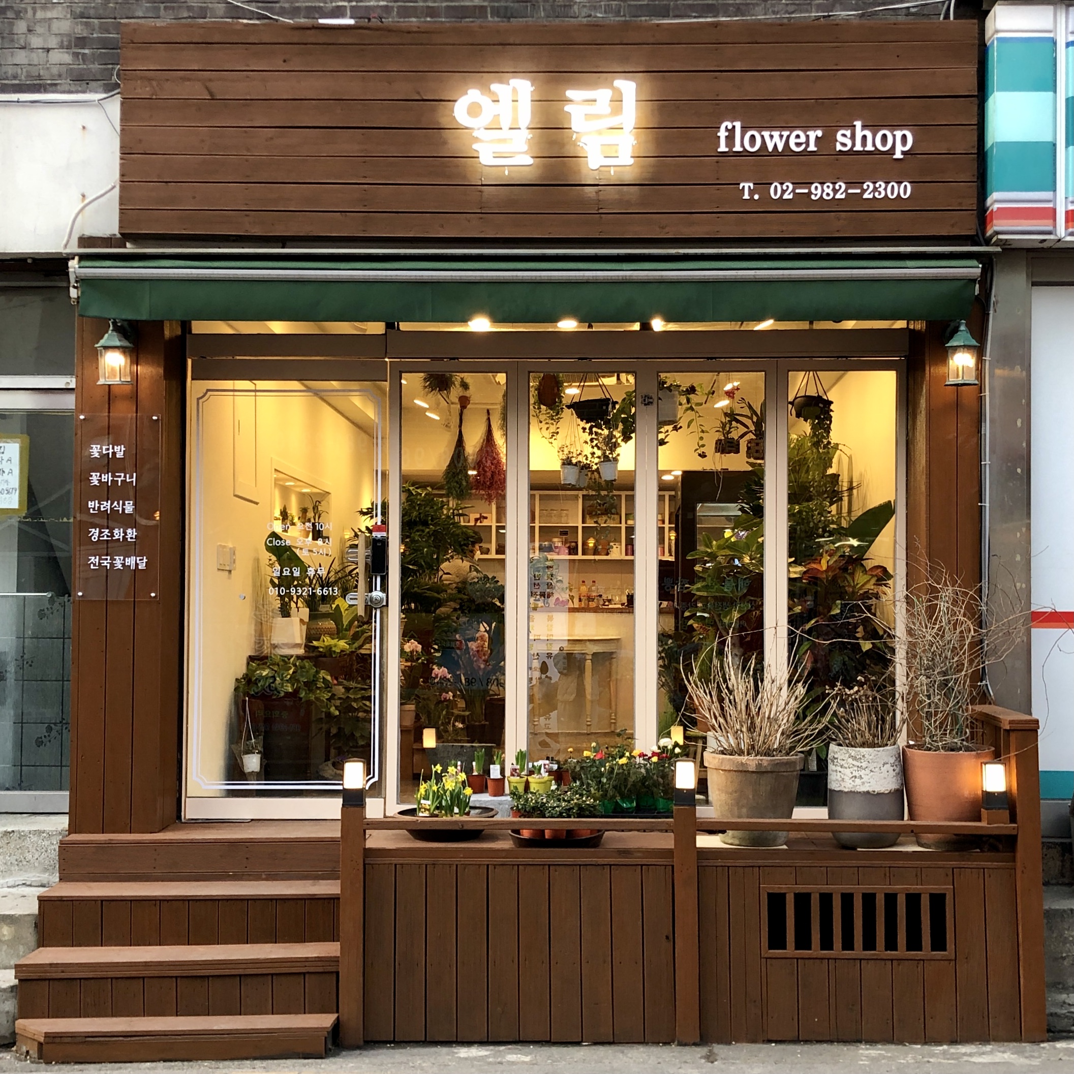 엘림플라워