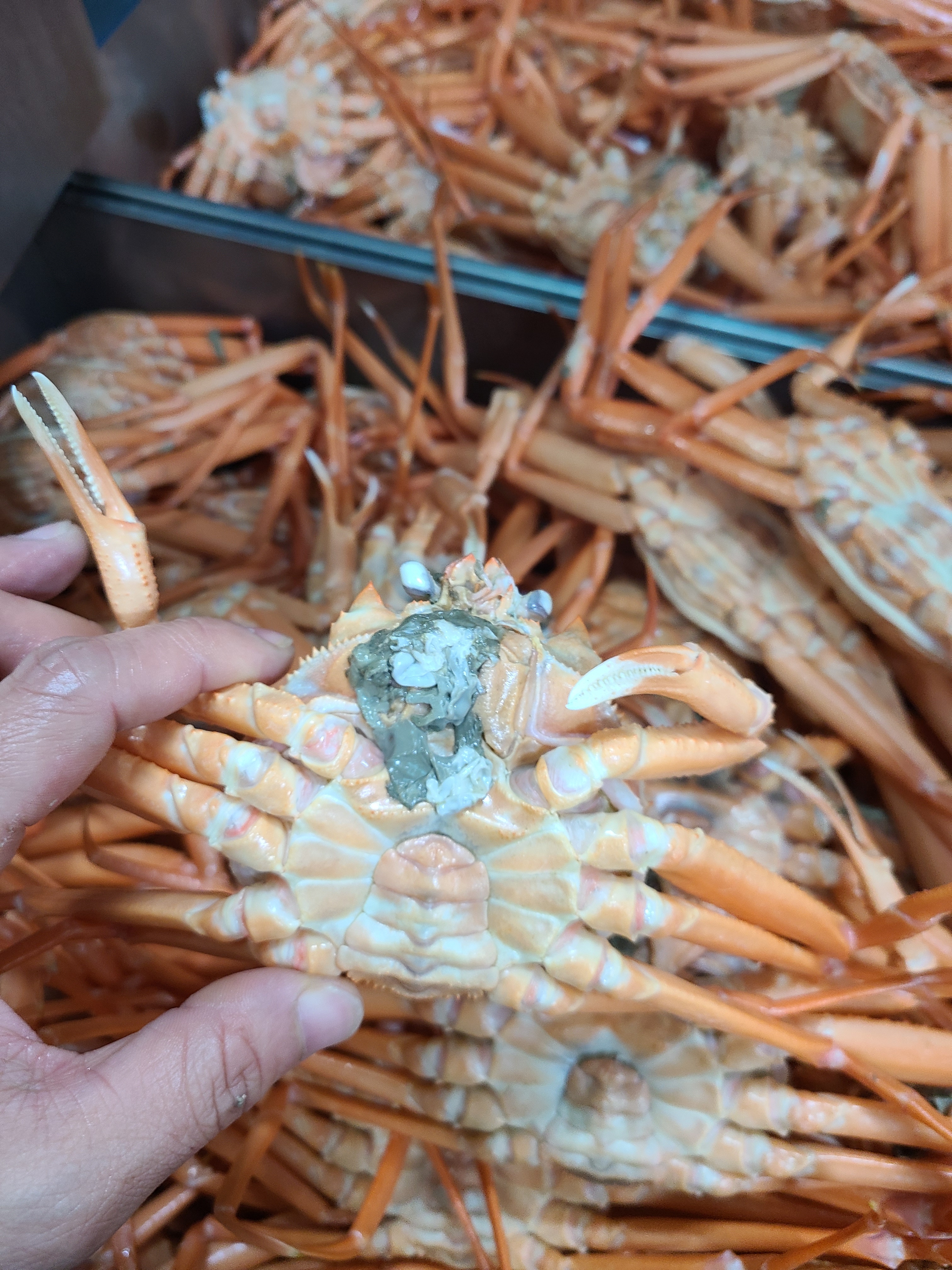 환이수산 안녕수산물