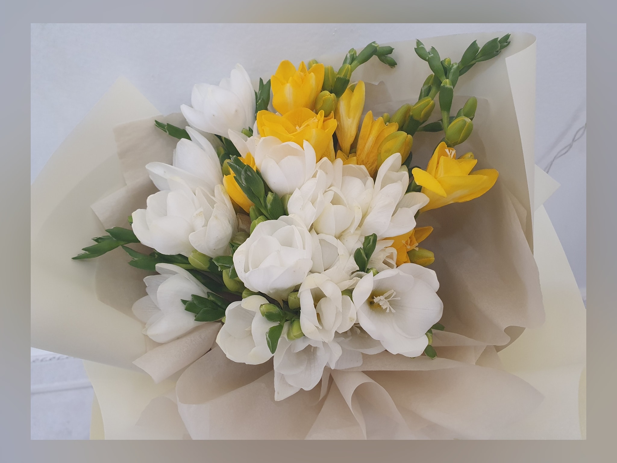 살롱드벨르네일 대표 이미지