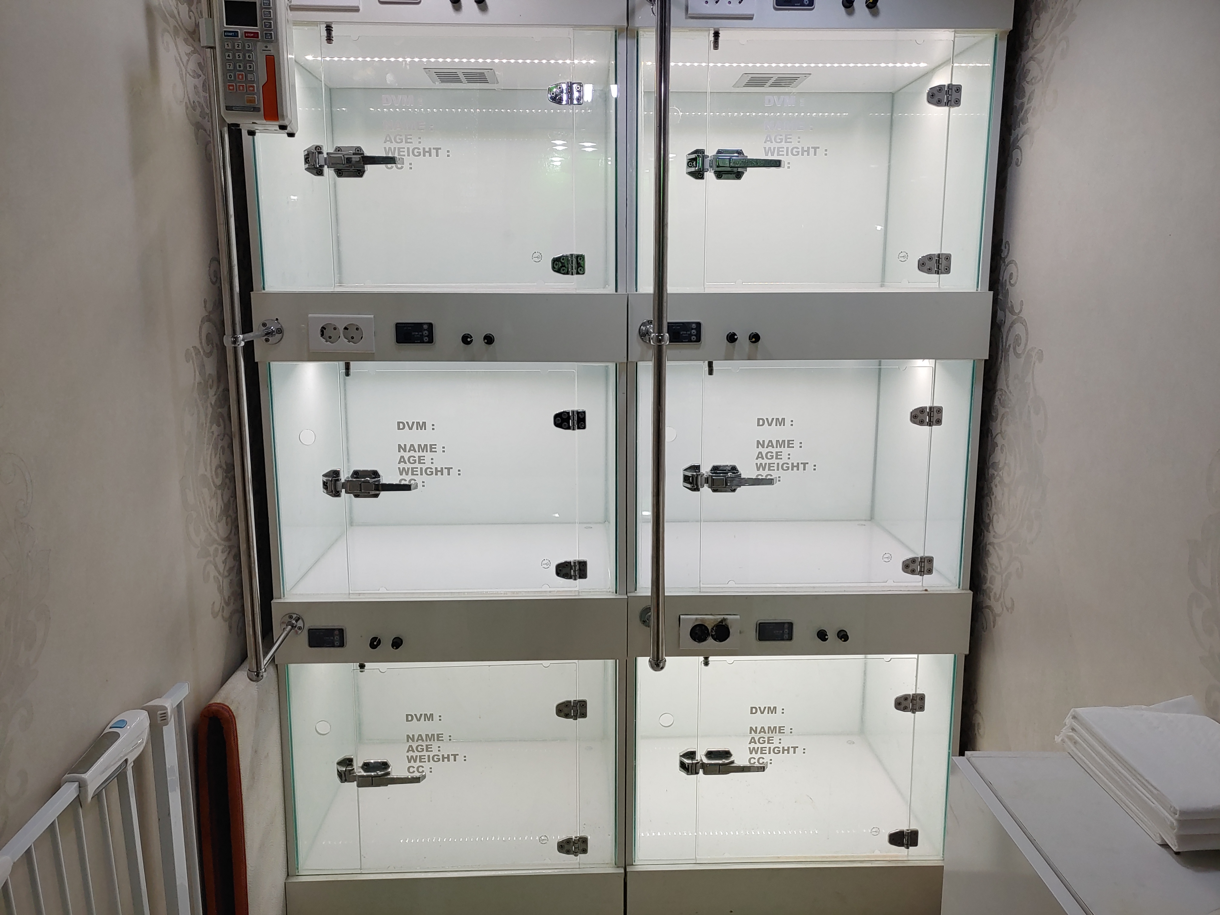 필립동물병원 대표 이미지