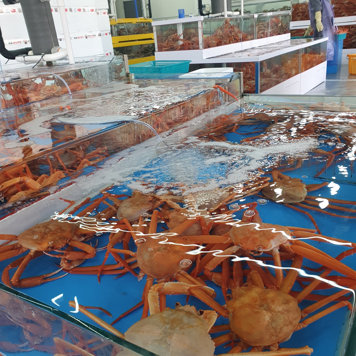 100번수산