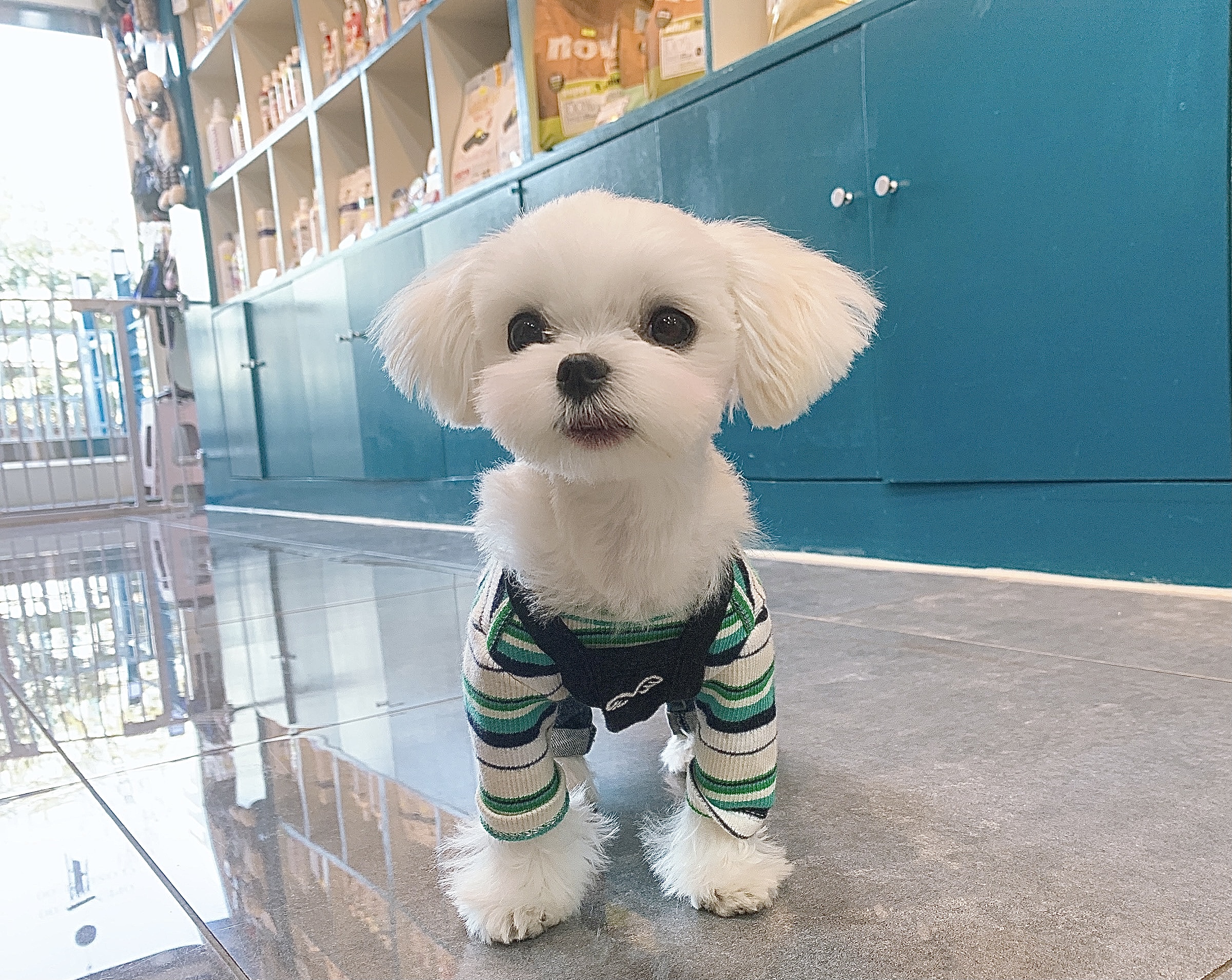 이미지