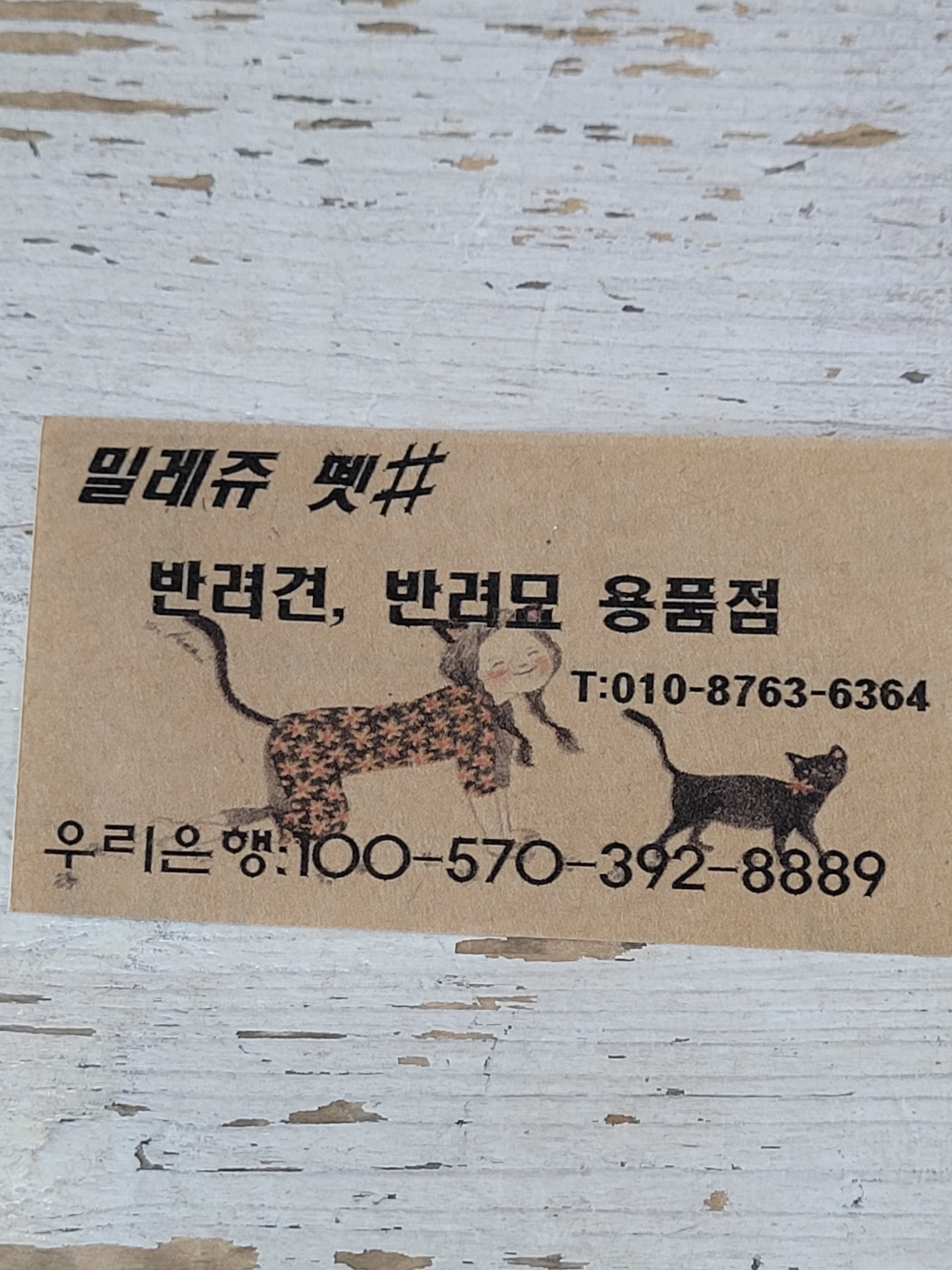 이미지