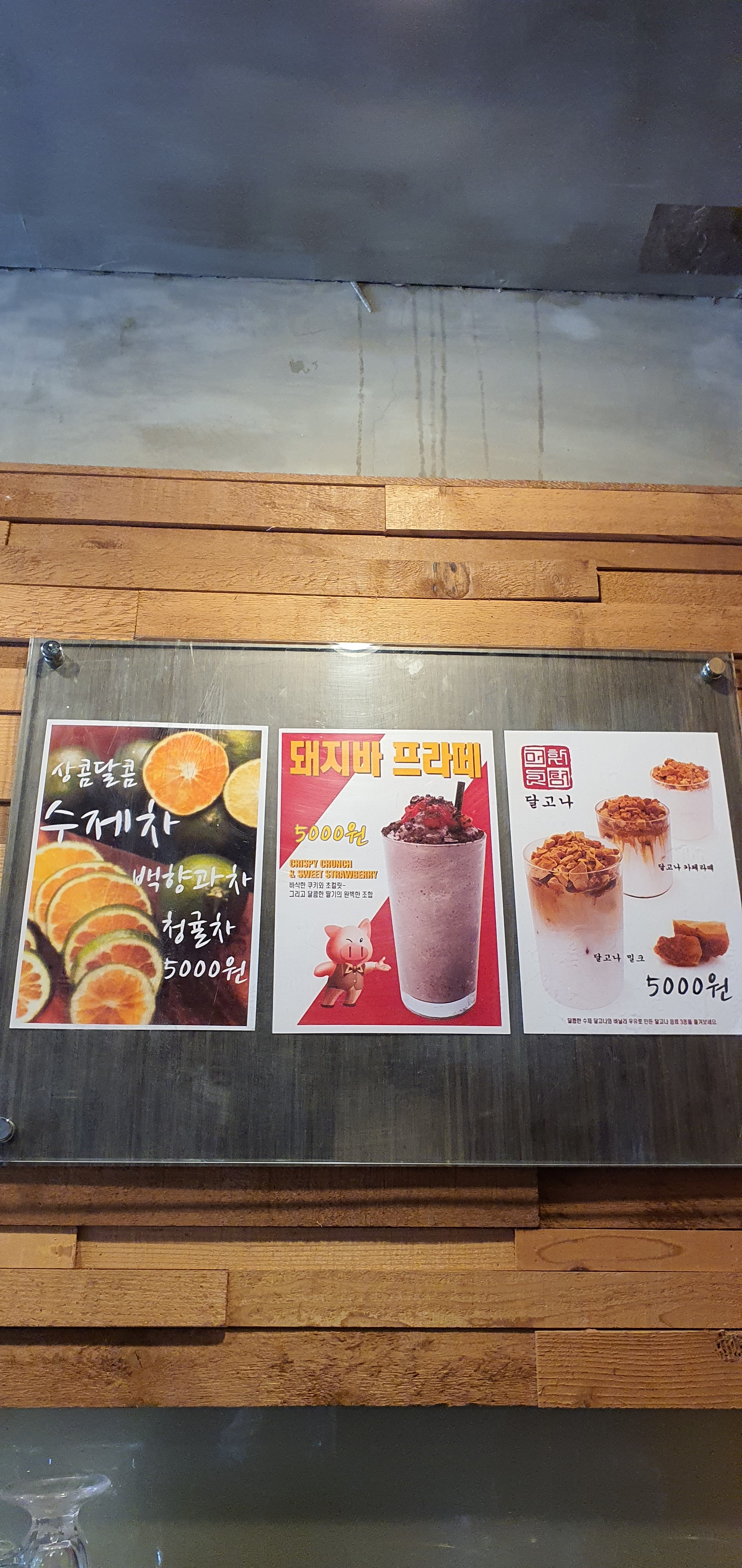 카페보니떼 전라 애견맛집