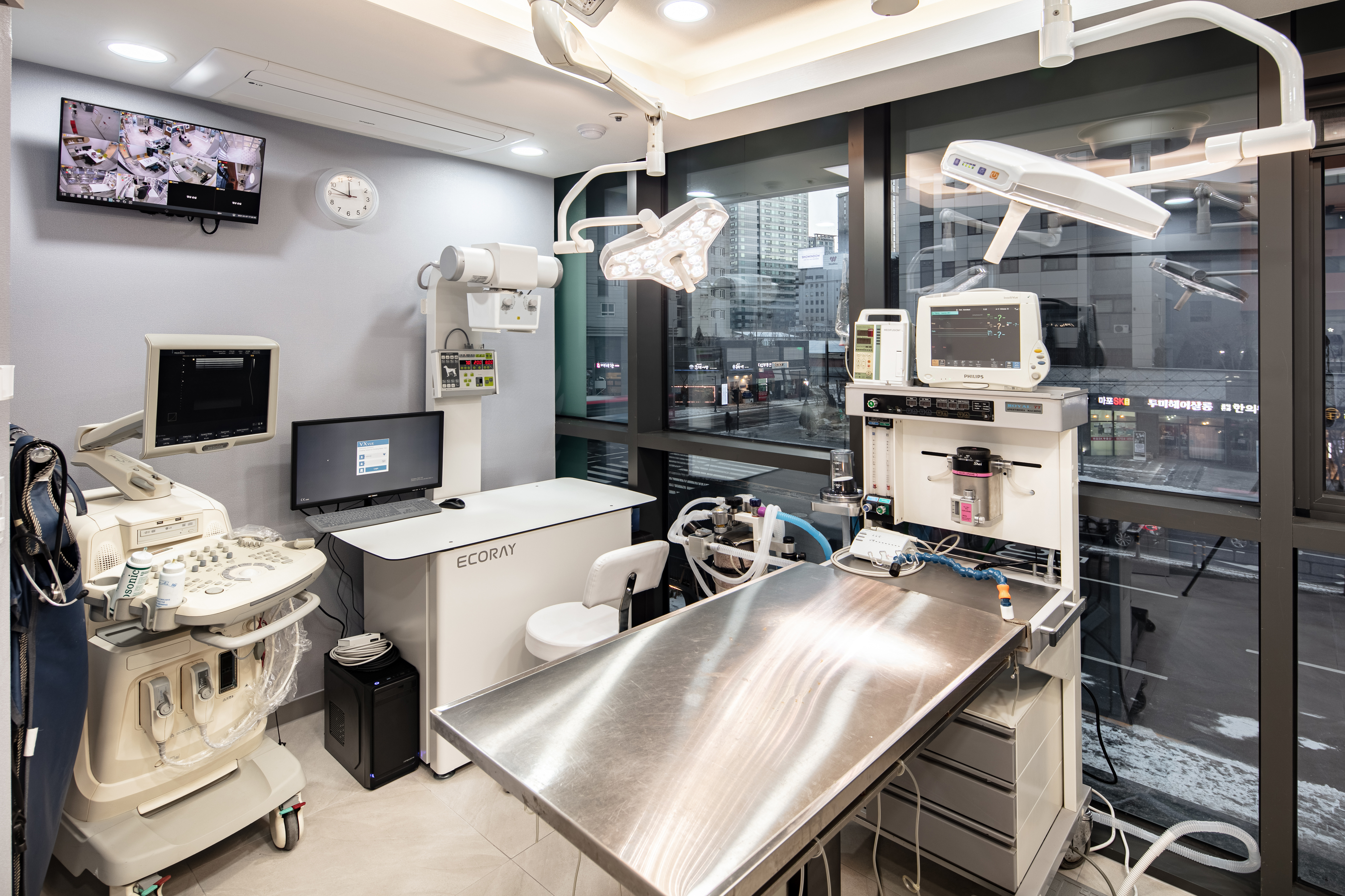 힐링동물병원 & 건강검진센터 대표 이미지