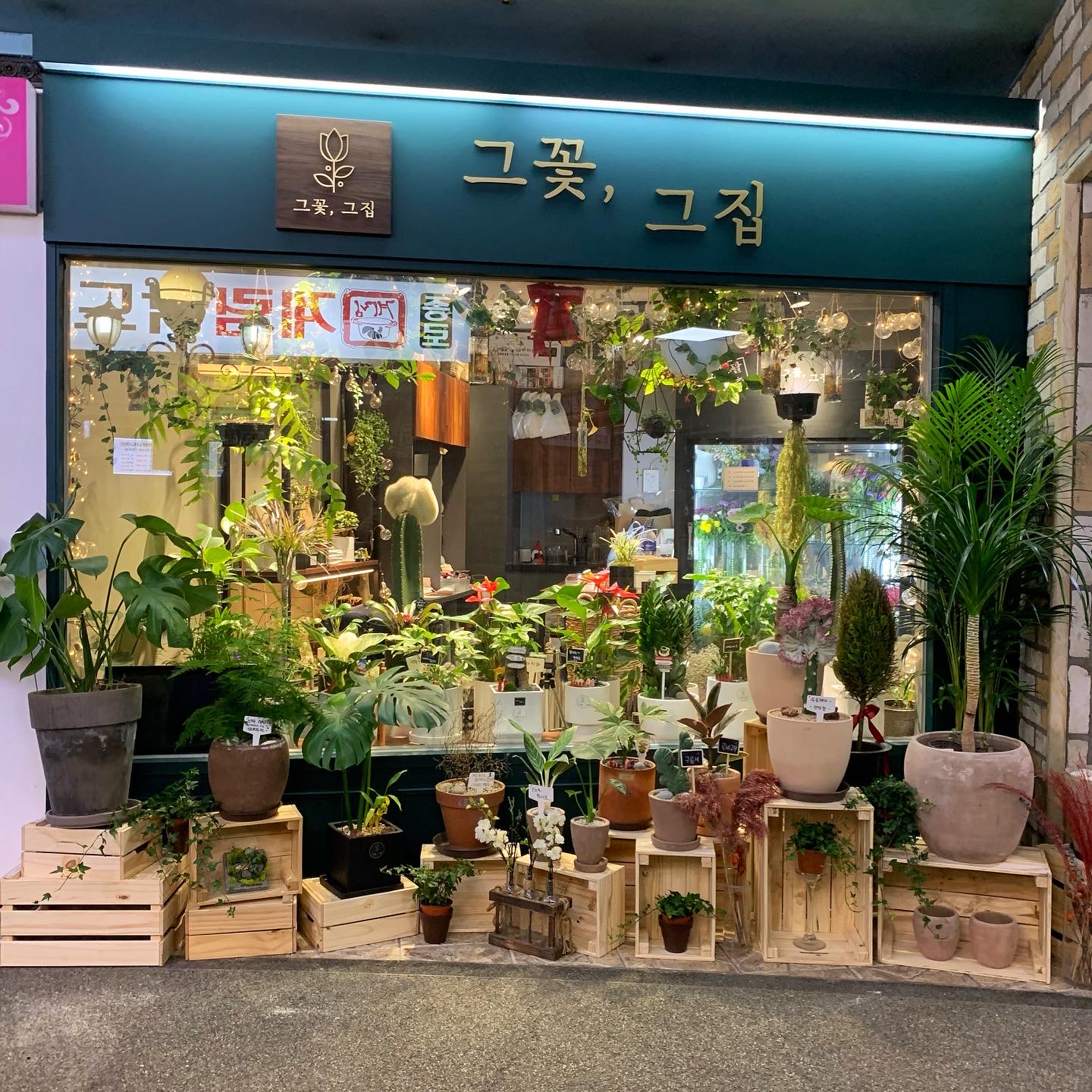 그꽃 그집