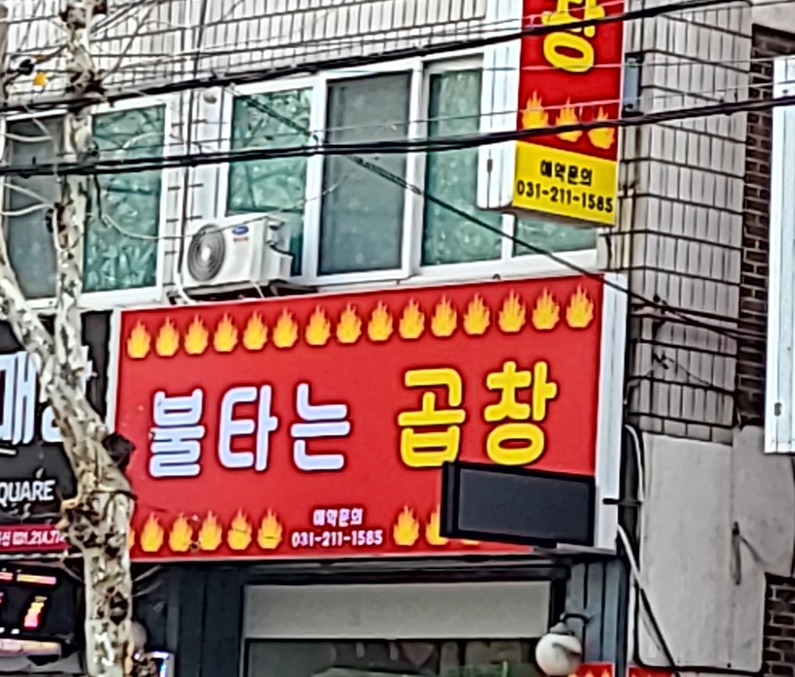 불타는곱창