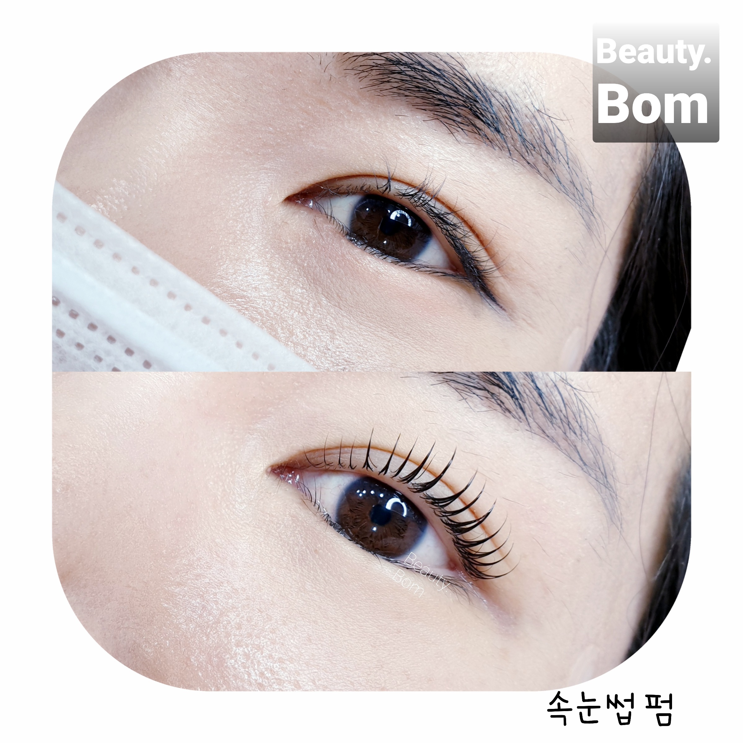 뷰티봄 속눈썹&눈썹