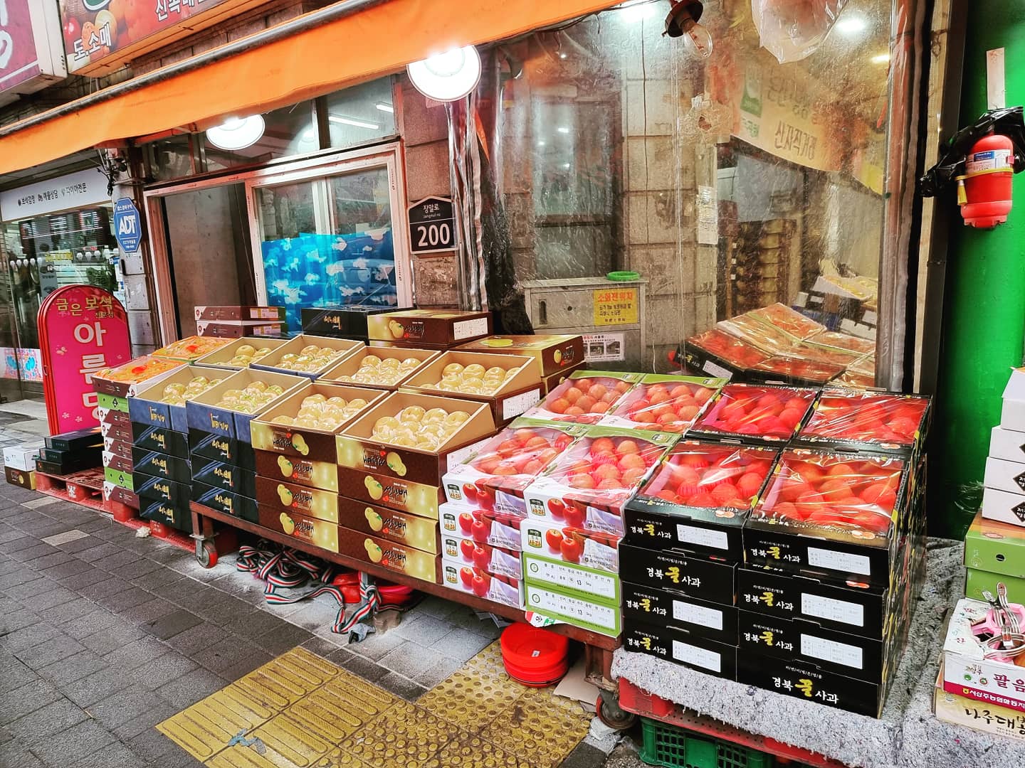 상동청과