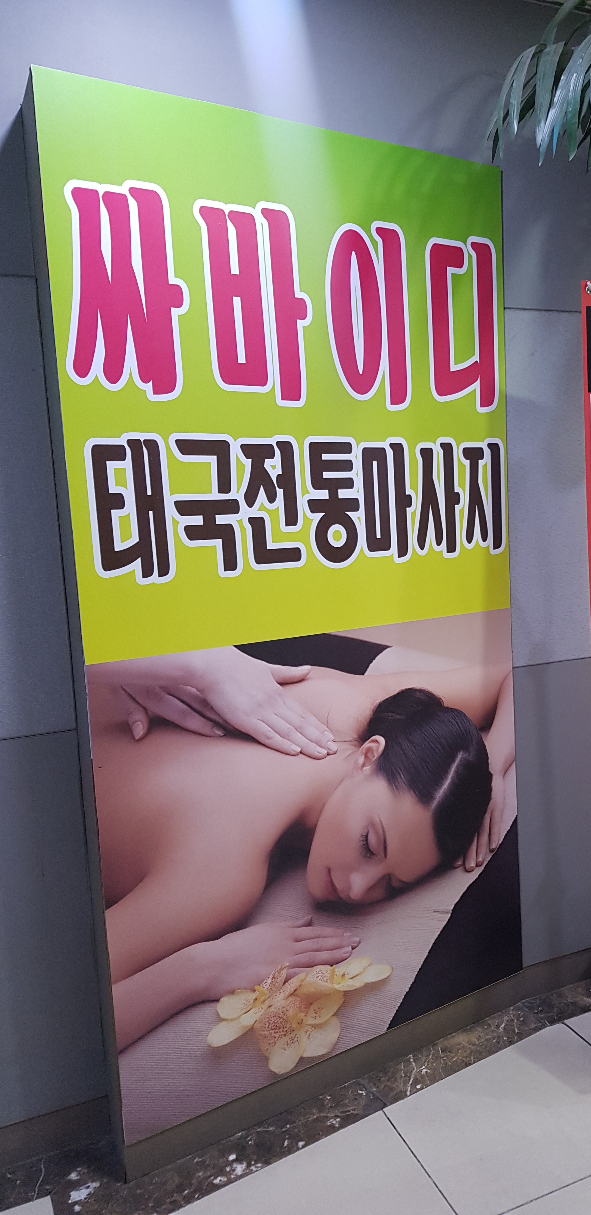 싸바이디태국