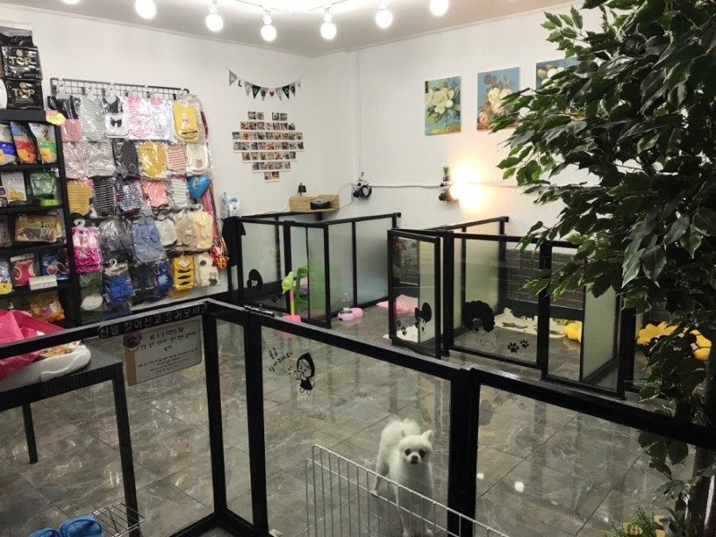 깐돌이네 애견미용호텔 대표 이미지