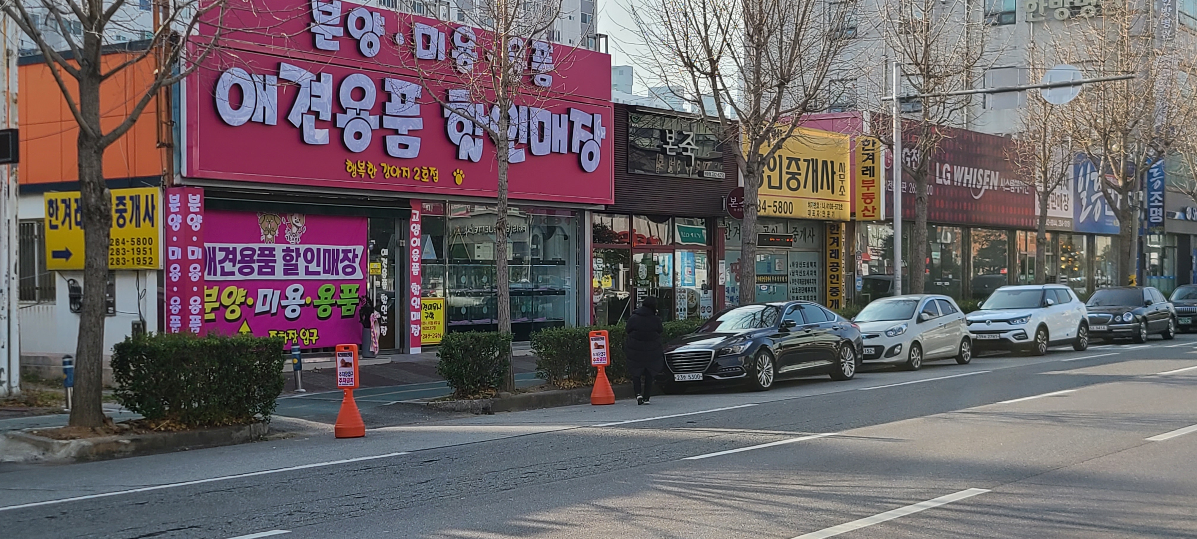 애견용품전문 추천 전남 목포시 지역 우수업체 강아지용품 애완용품 애견용품점 반려동물용품점 강아지스카프 애견용품샵 애견용품할인매장