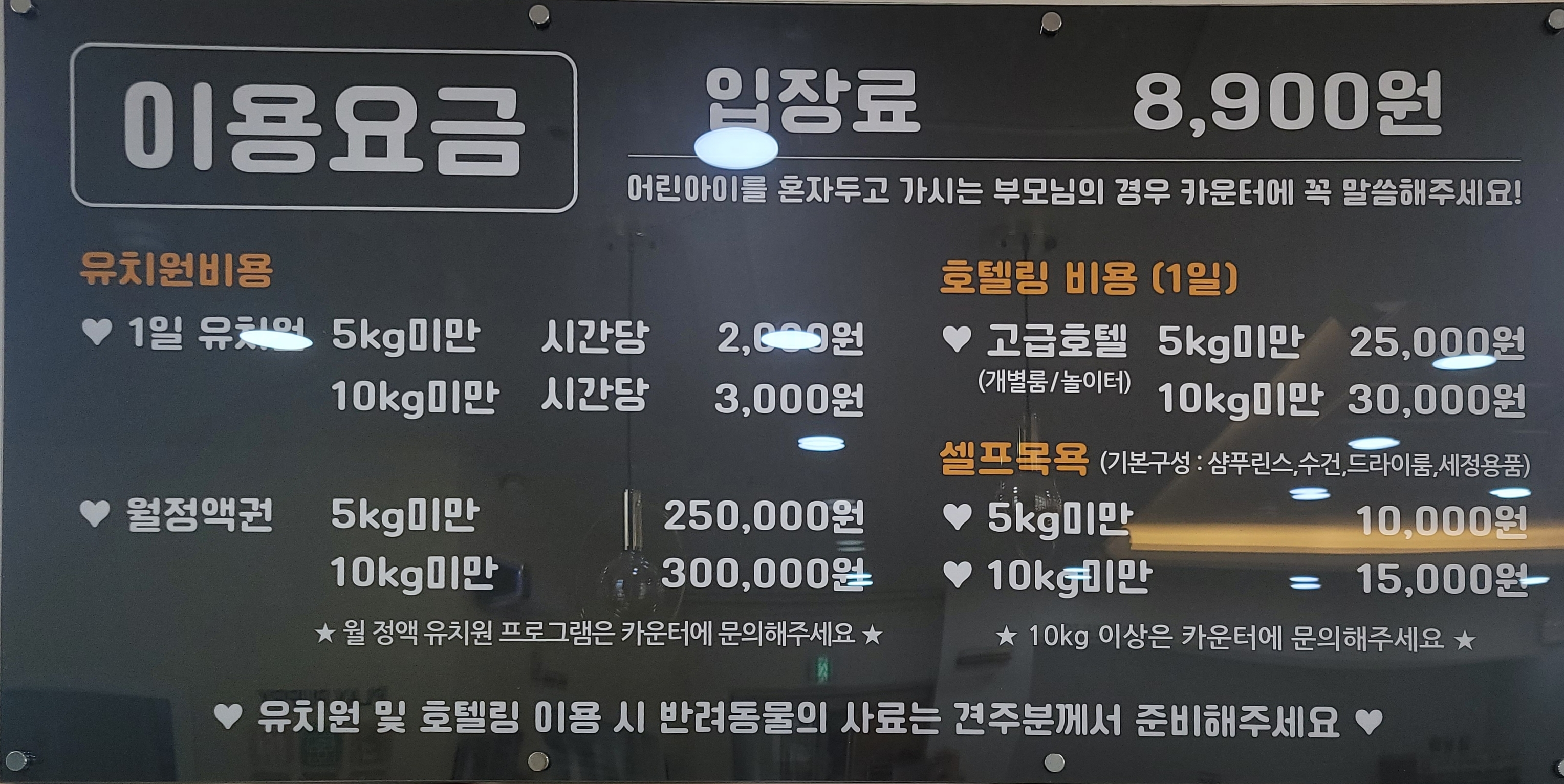 돌봄애견카페 대표 이미지