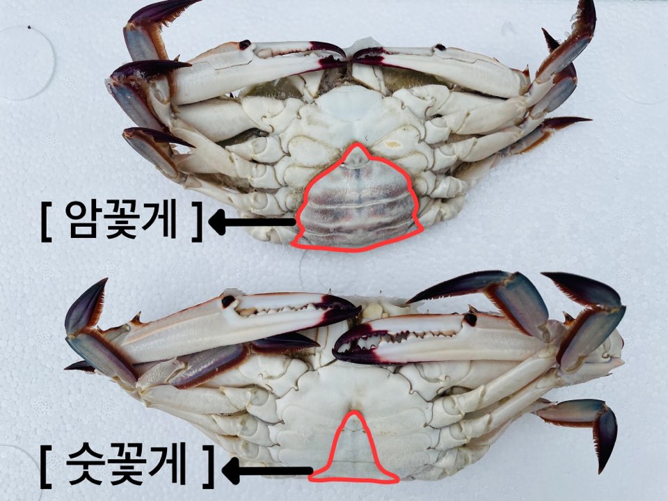 명천냉동수산