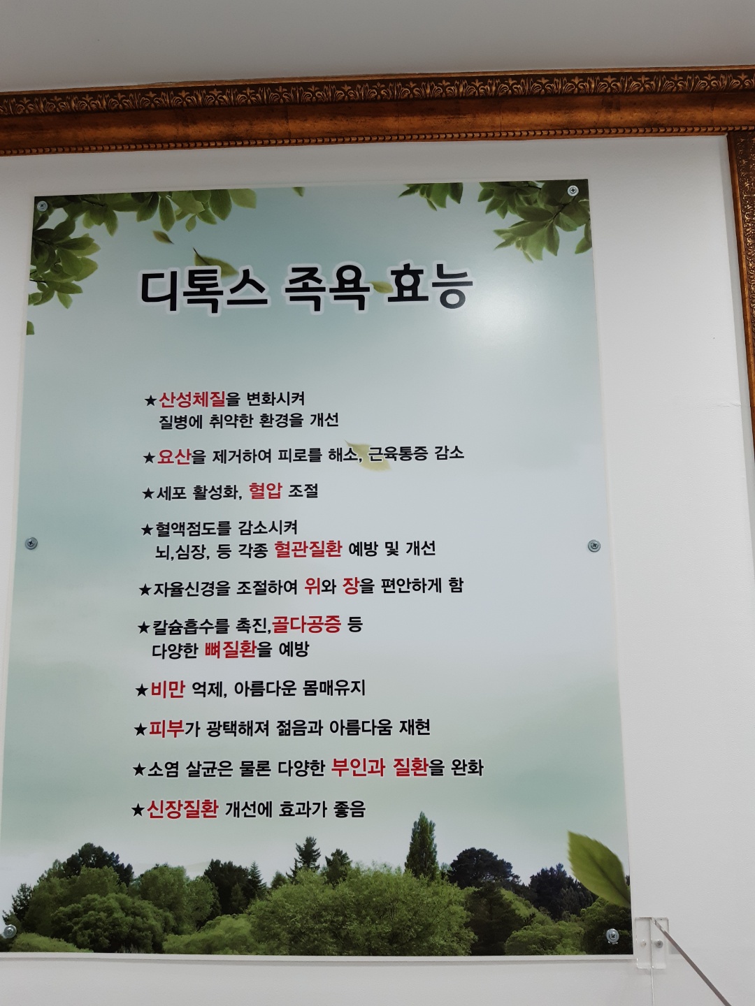 디톡스족욕힐링숲라파 석동점