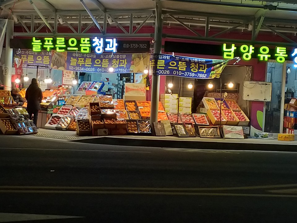늘푸른으뜸청과