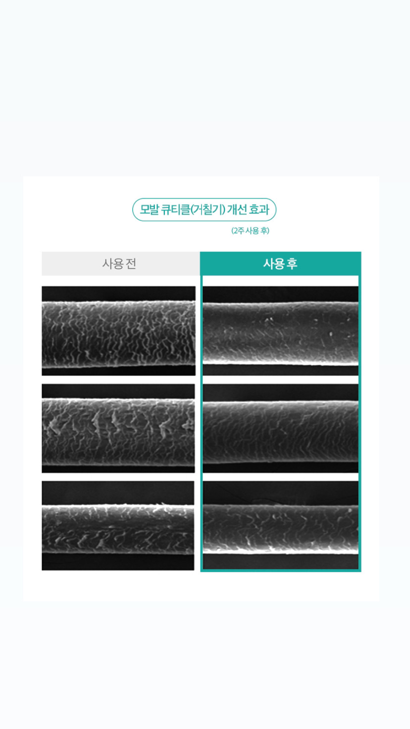 더뷰티 인셀덤