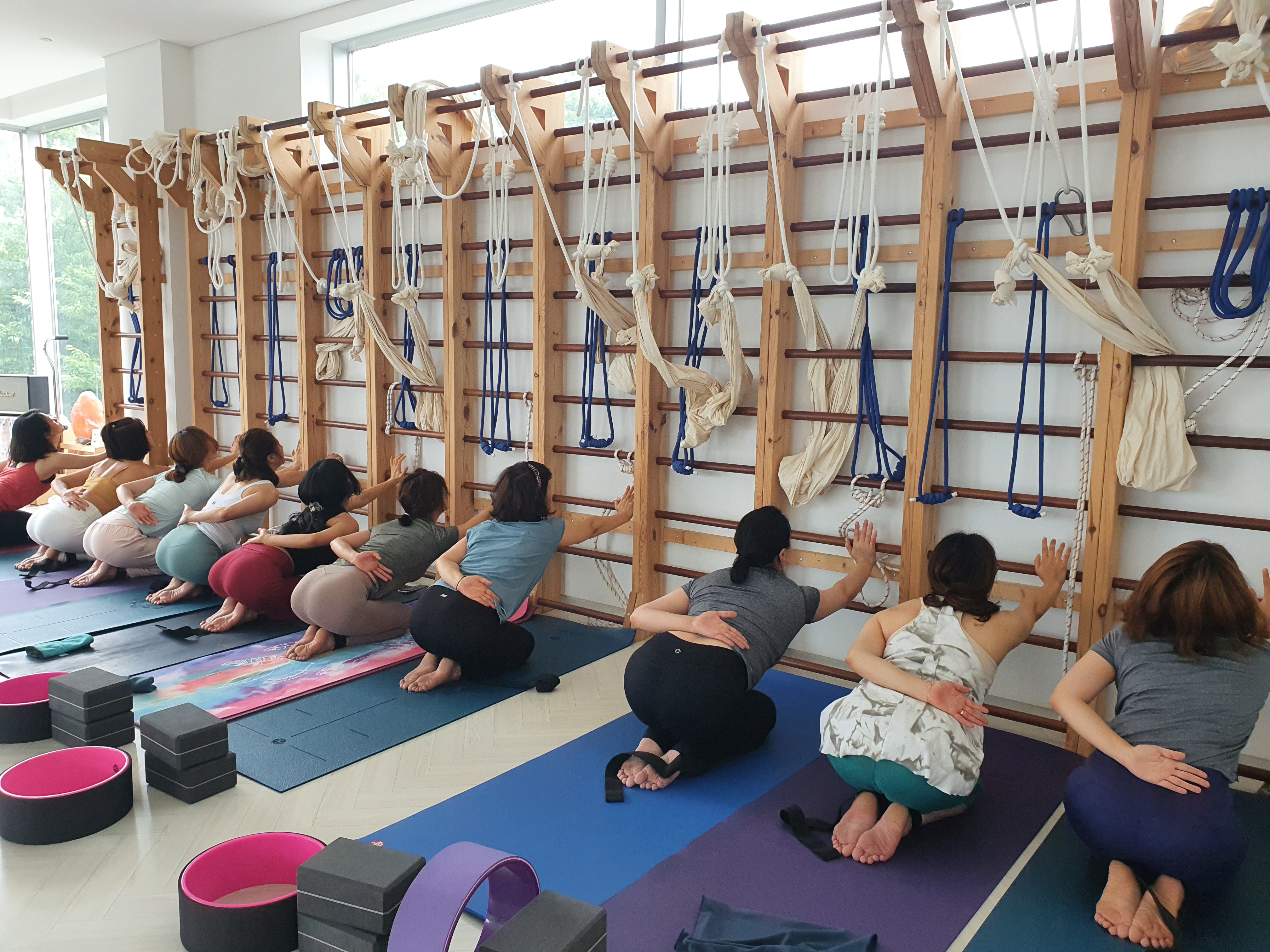 진요가 대표 이미지