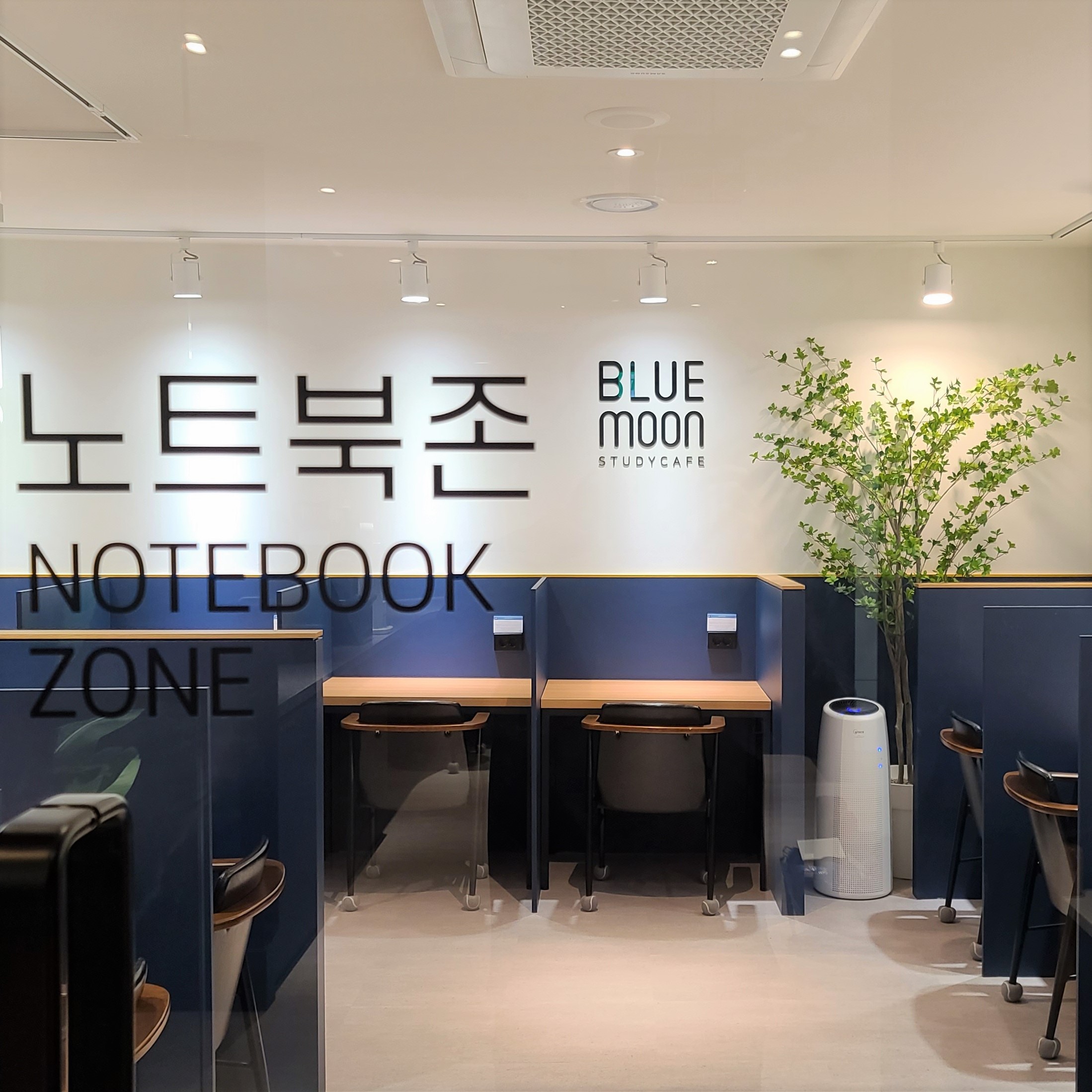 업체사진