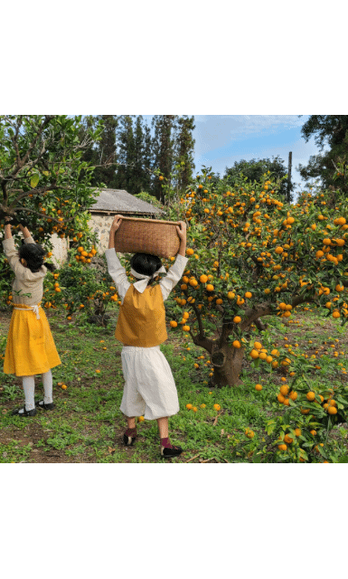 금동이네