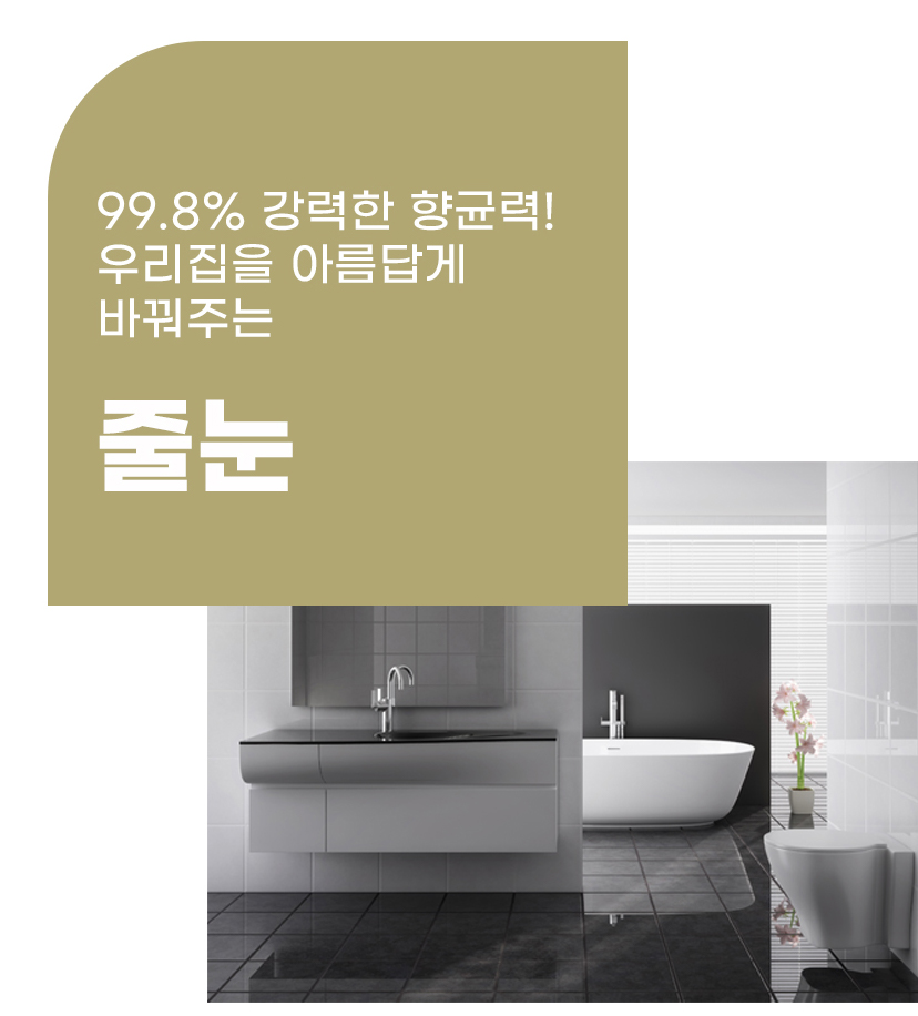 본스페이스