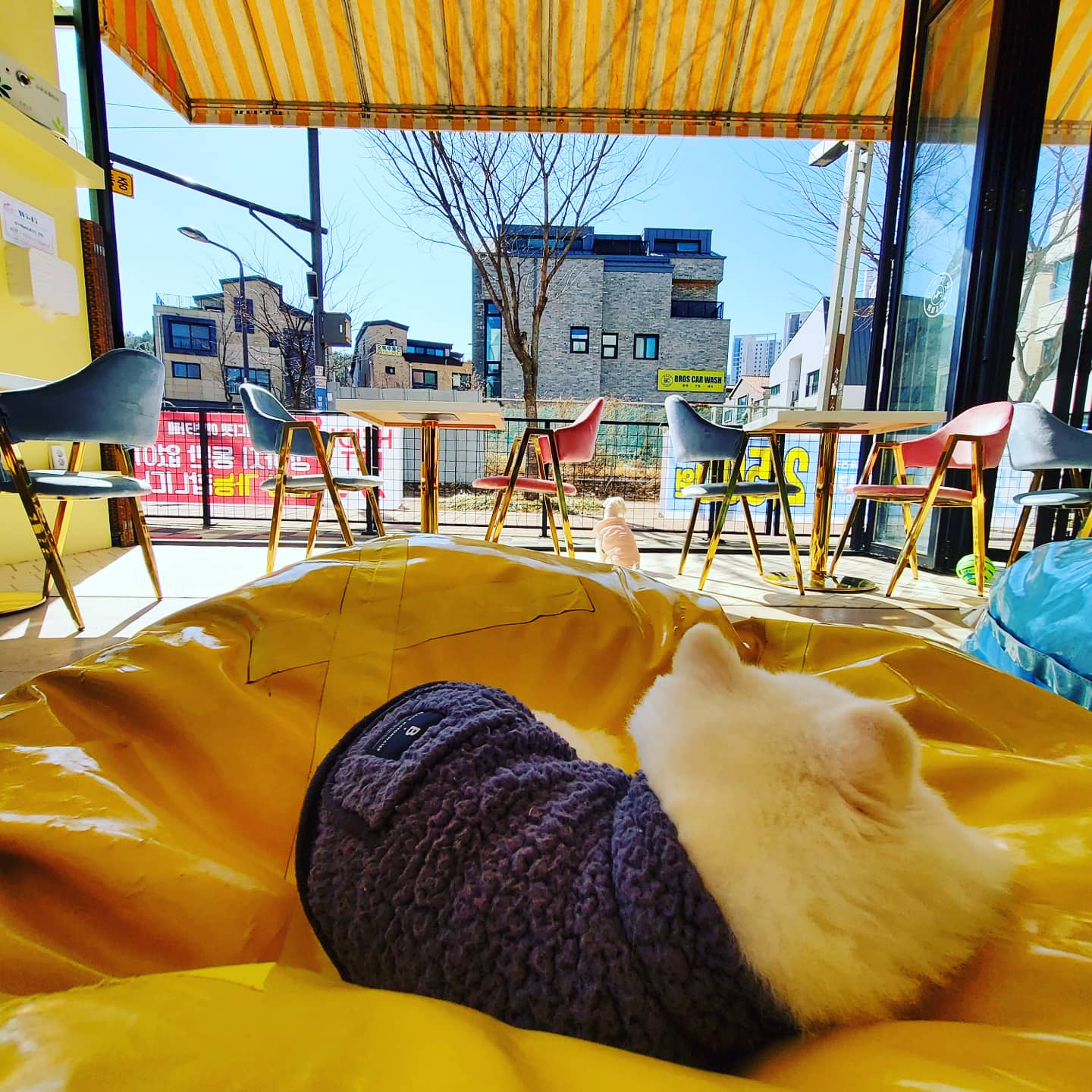 이미지