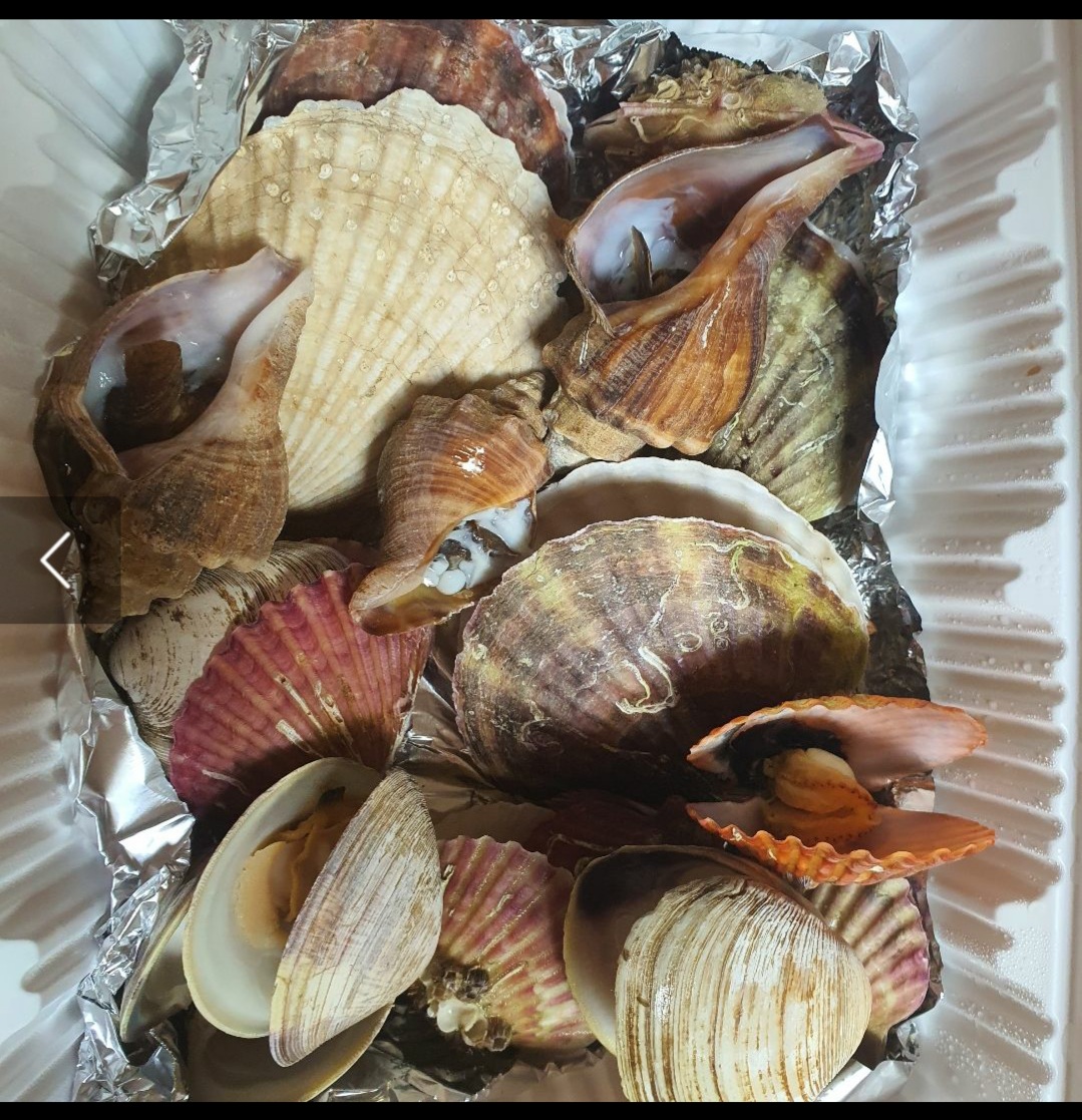 복조리수산