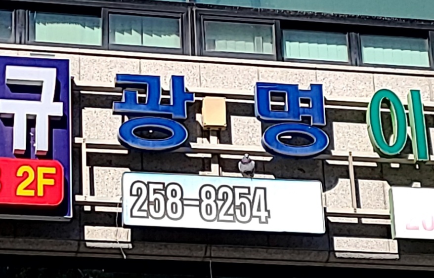 세무법인택스인 이미지
