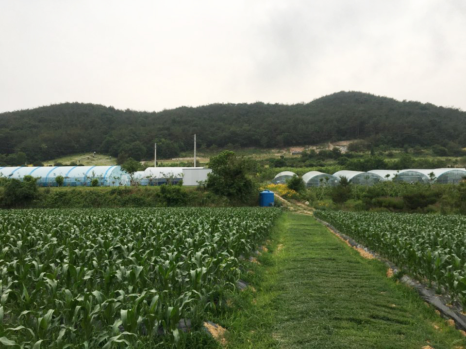 뽕디이레농원