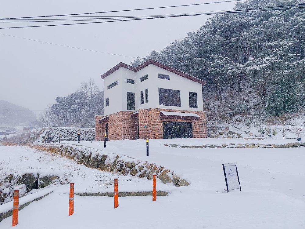 카페포레스트 경상 애견맛집