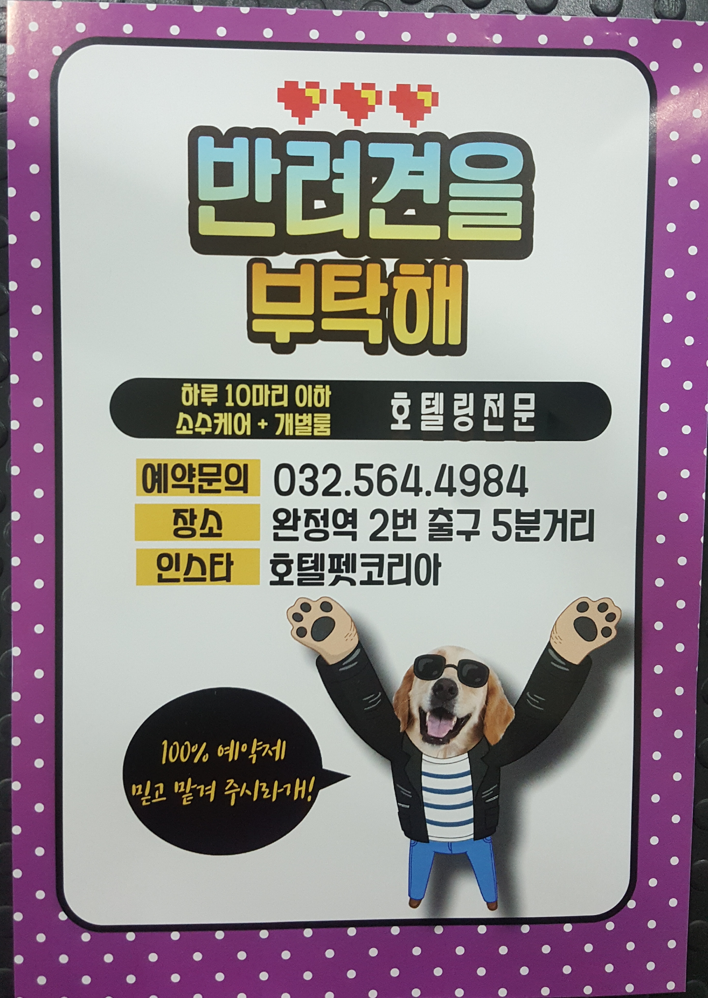 호텔펫코리아 대표 이미지