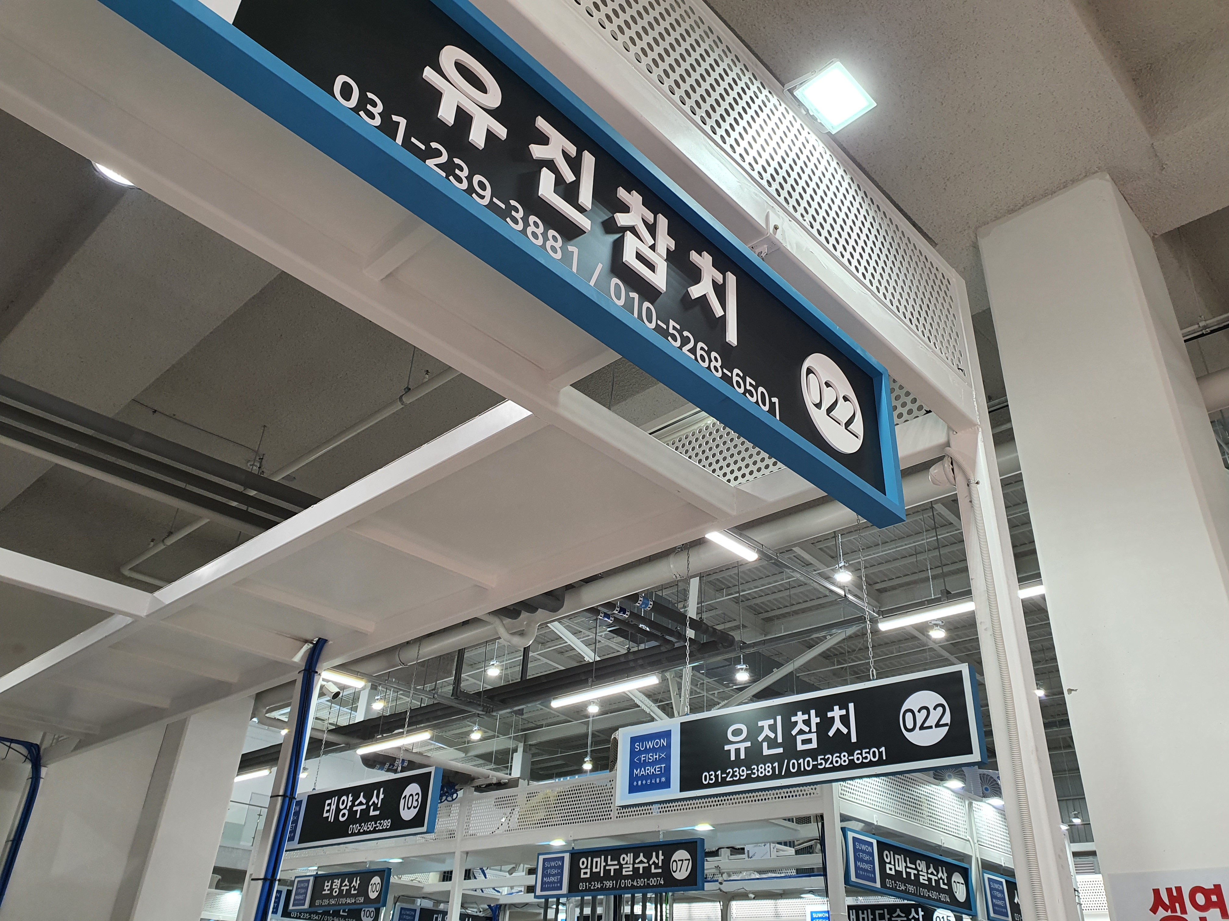 유진참치