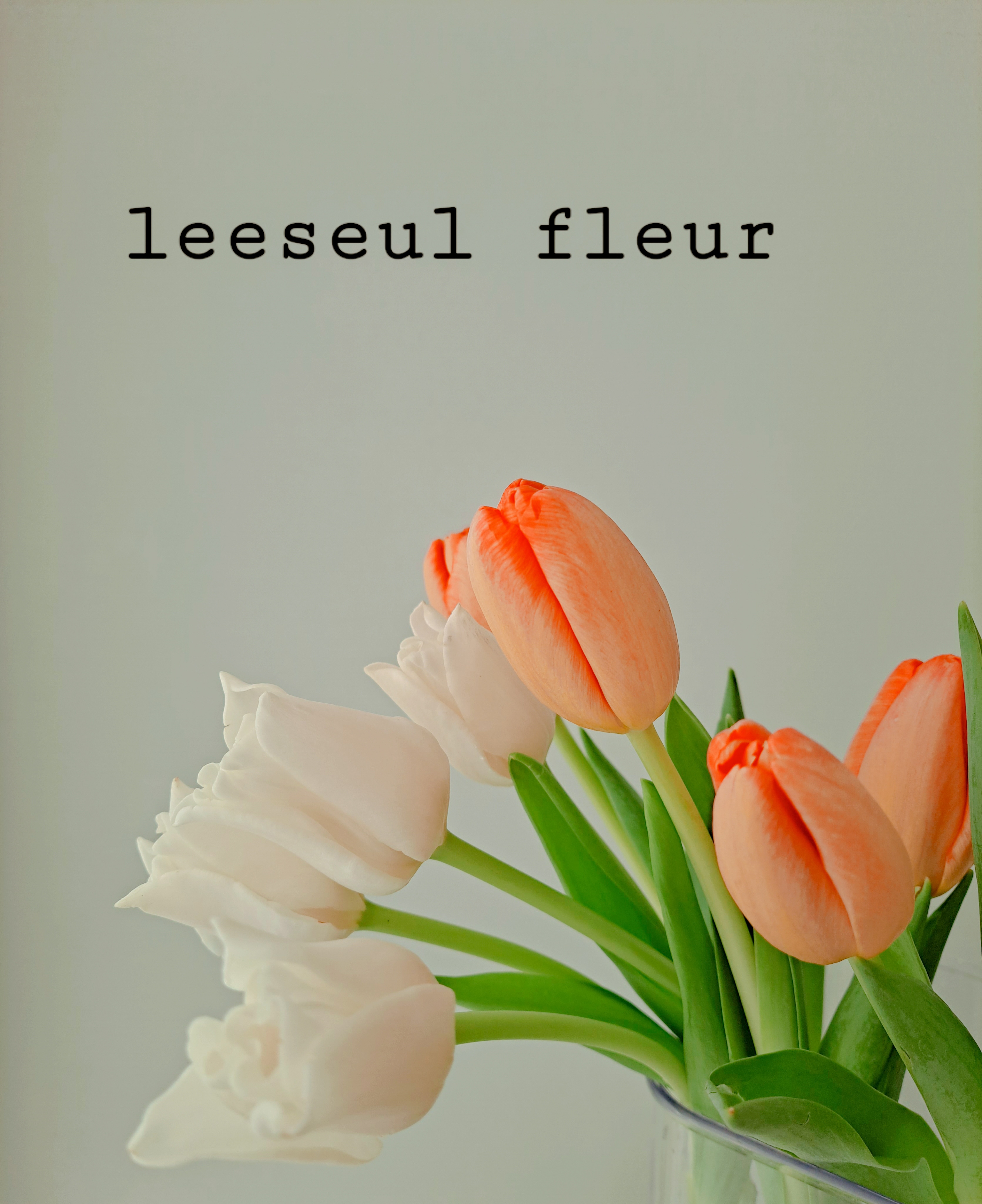 리슬플레르