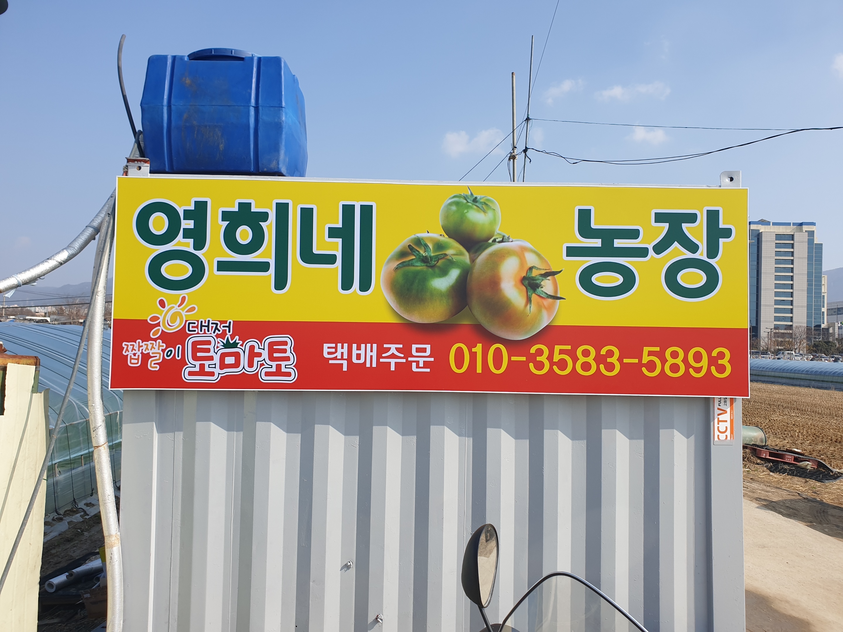 영희네 토마토농장