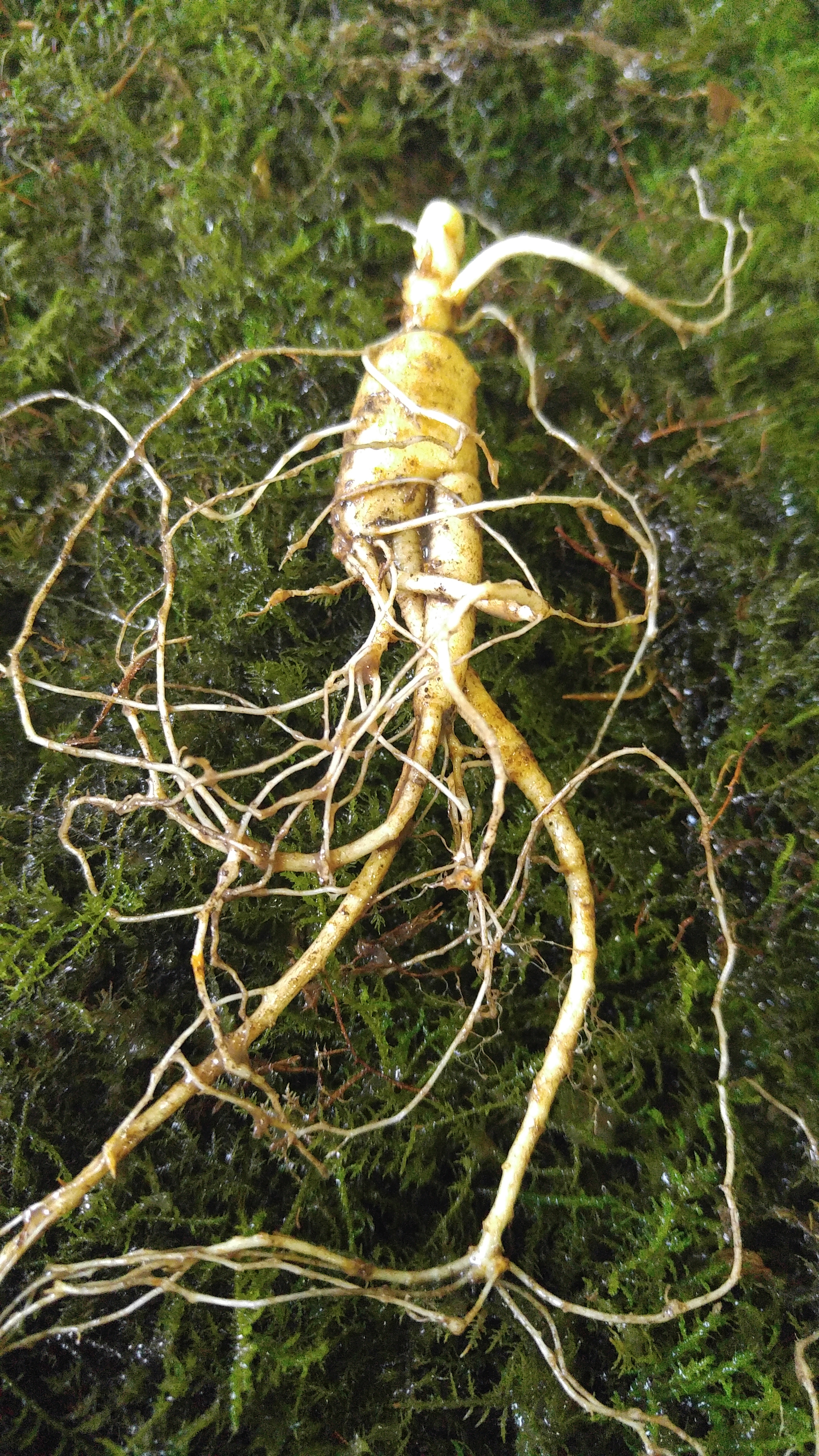 산내6차산업영농조합법인