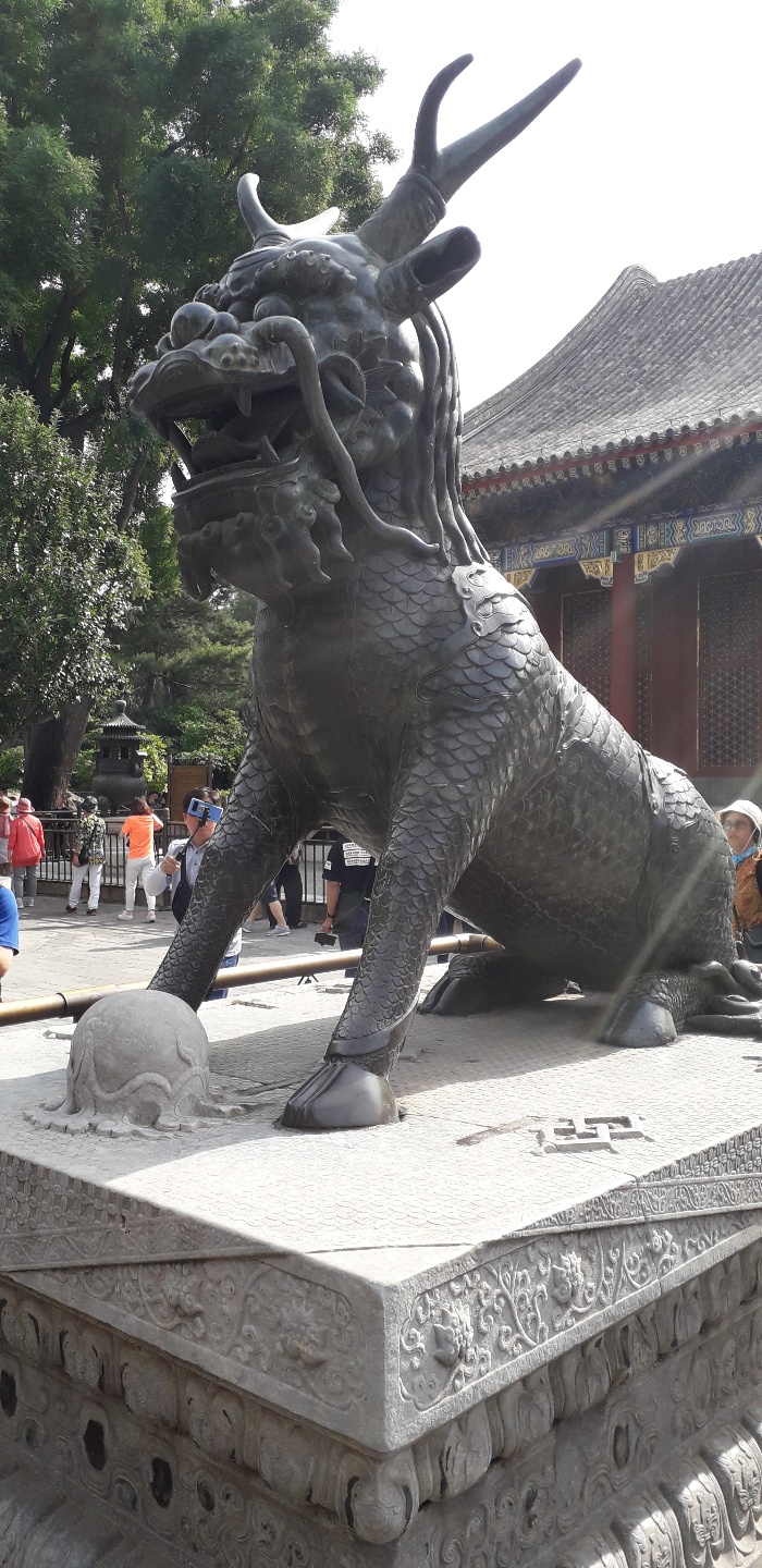 웰빙플라워