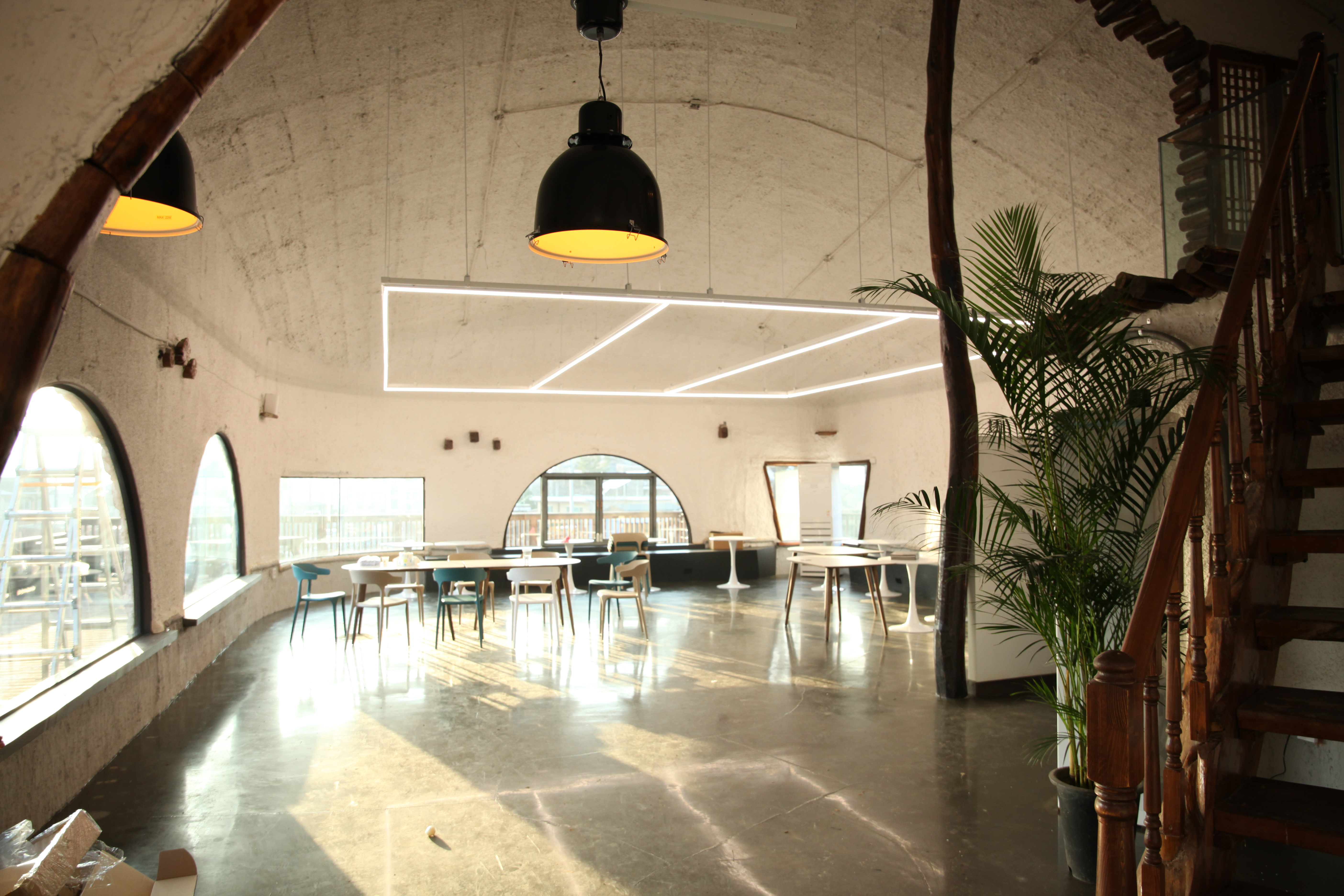 풀독 애견유치원 애견호텔 애견운동장대관 대형견 대표 이미지