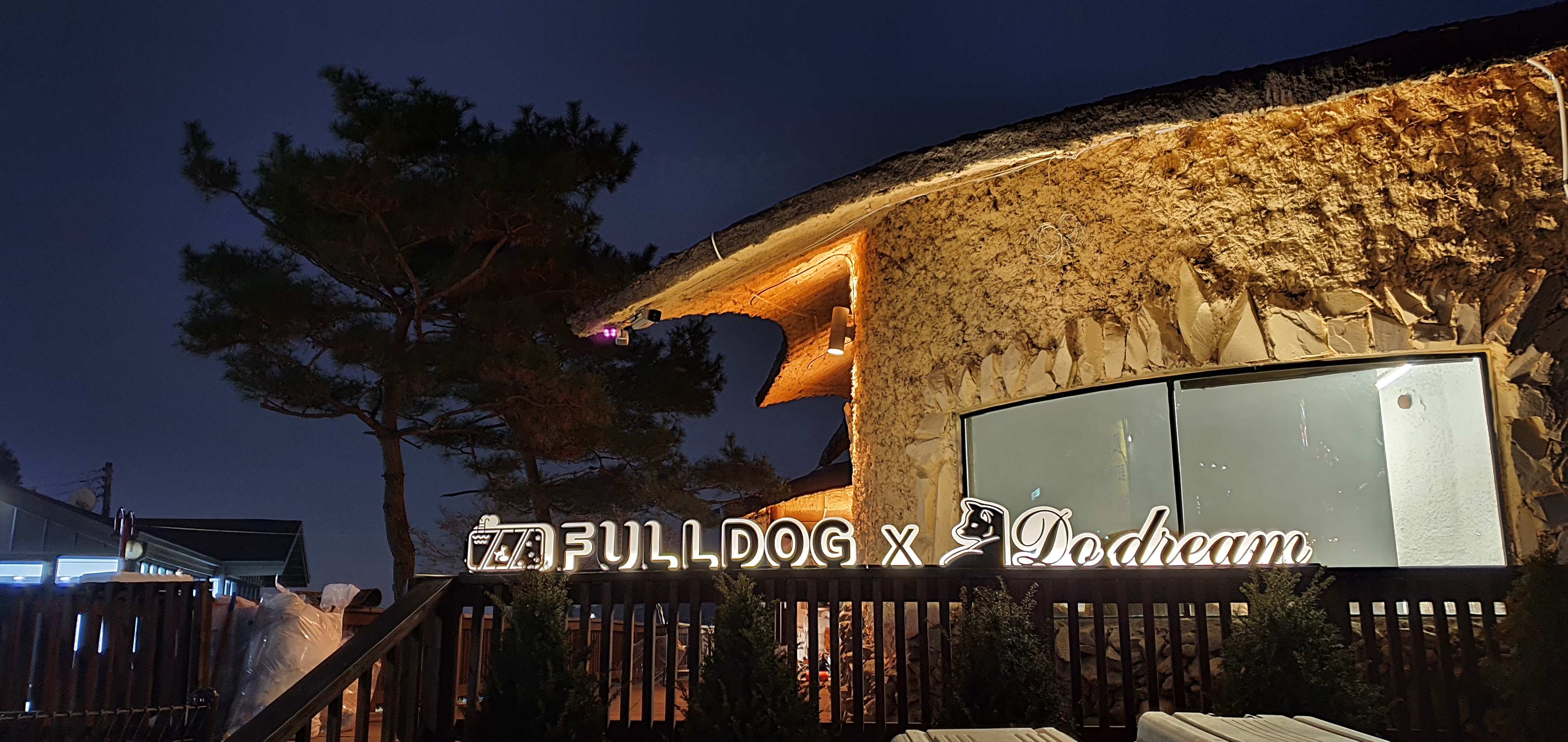 풀독 애견유치원 애견호텔 애견운동장대관 대형견 대표 이미지