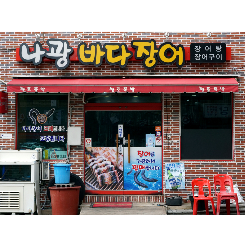와따장어