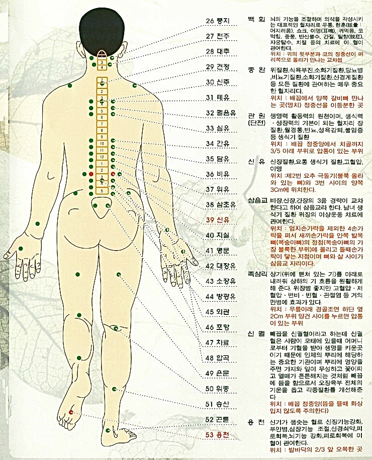 수힐링 photo 4