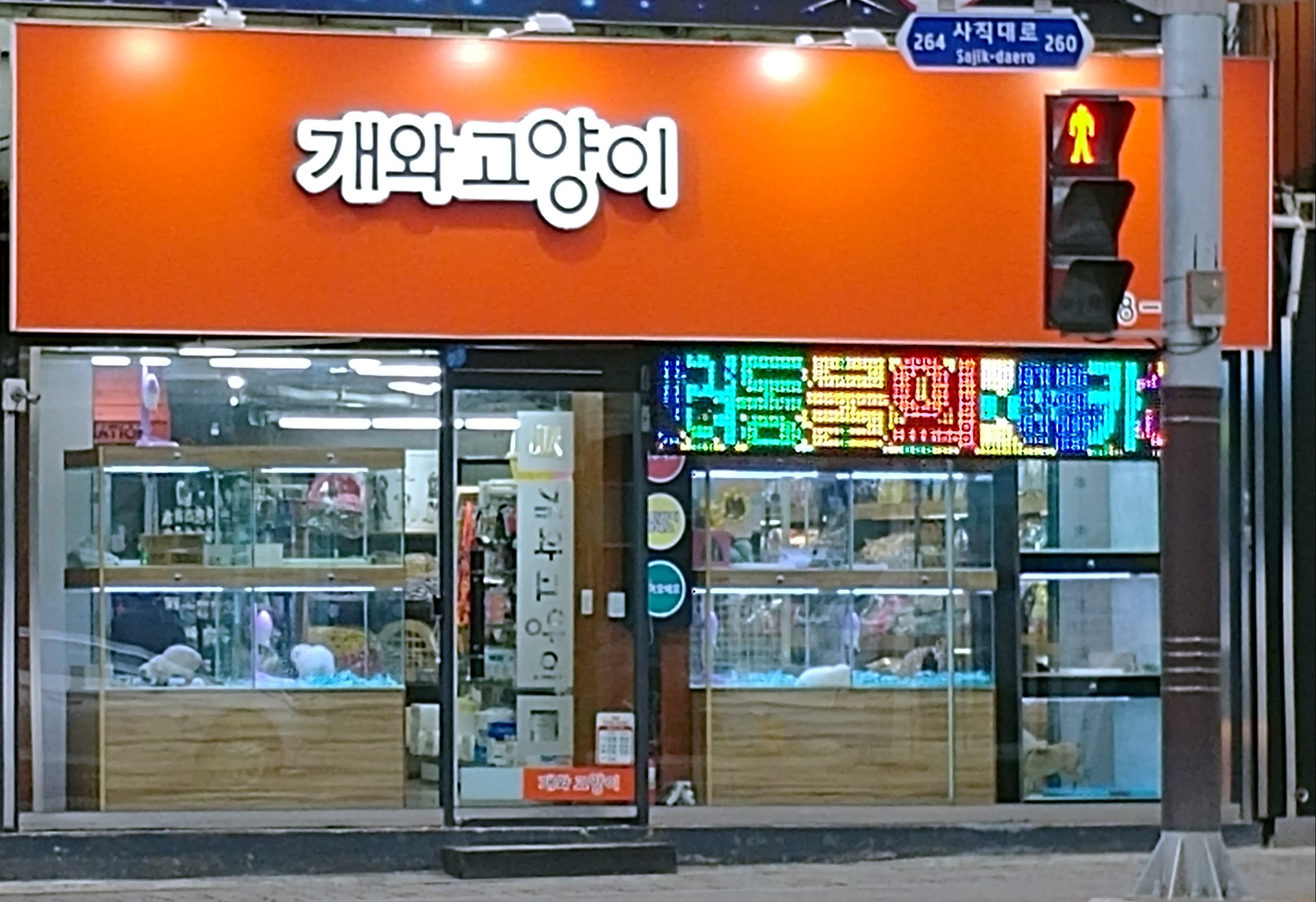 개와고양이