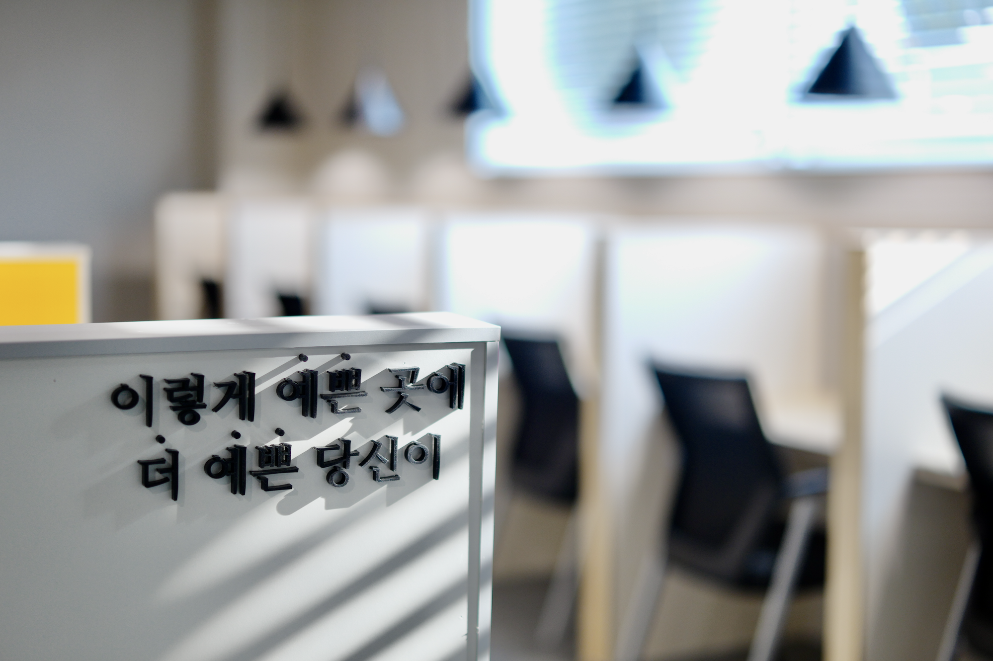 업체사진