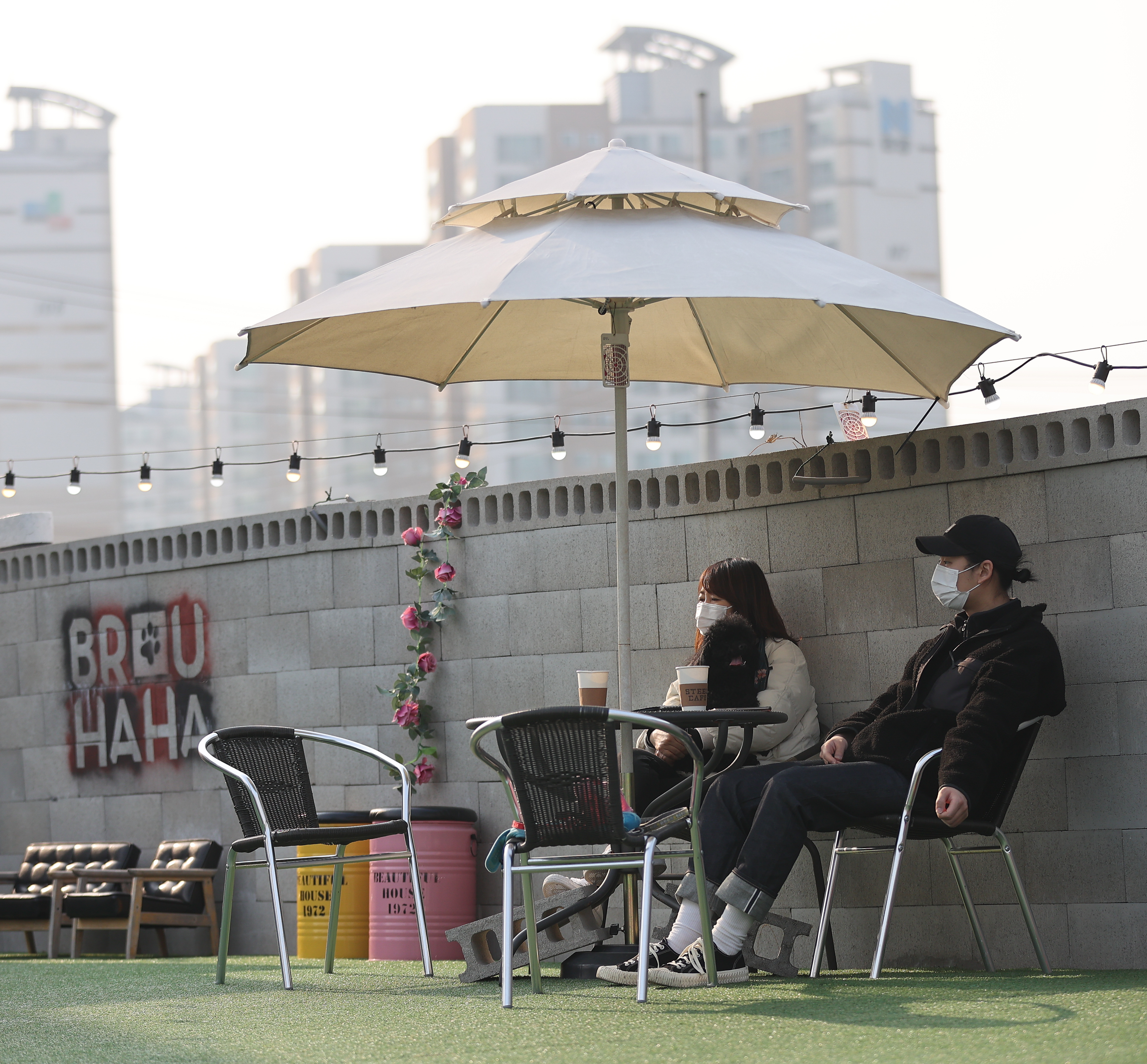 브루하하 [애견운동장,애견카페]