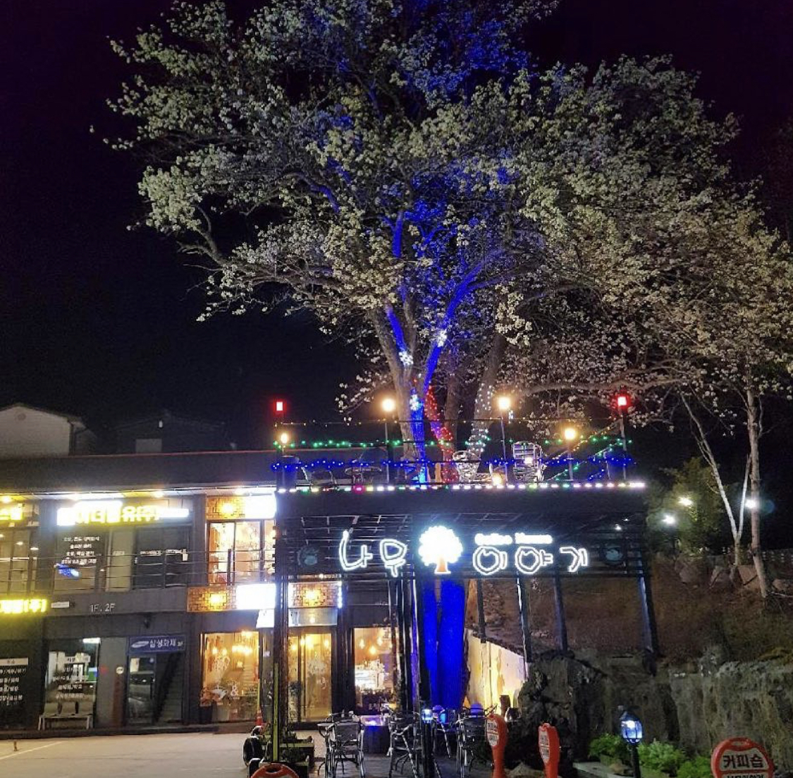 나무이야기