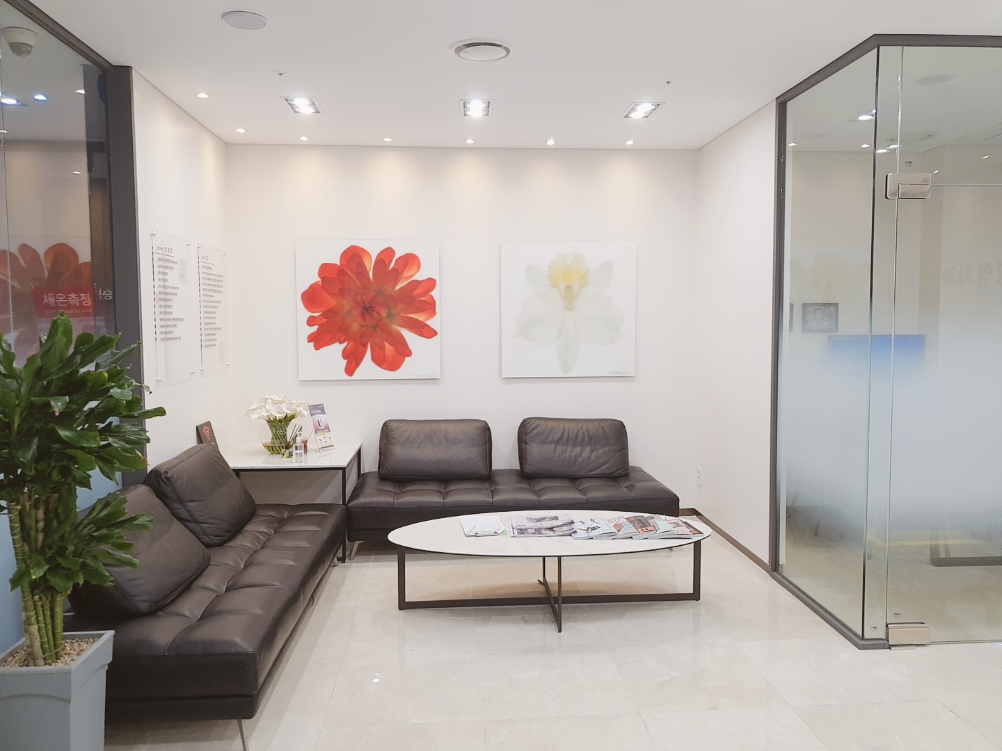 안창영치과의원 대표 이미지